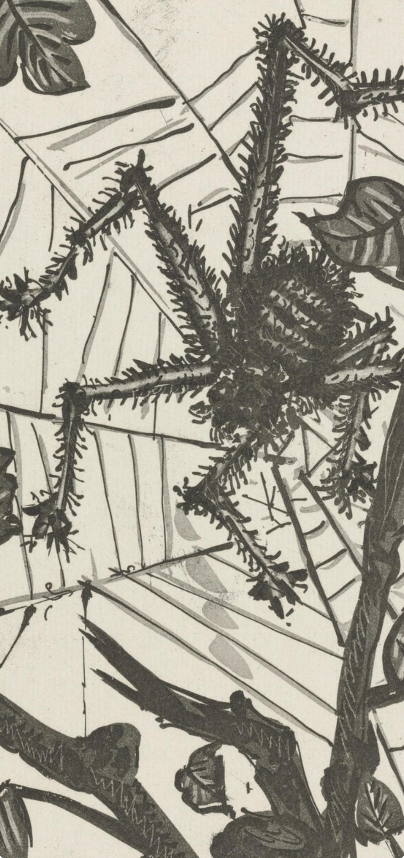 Lithographie auf Papier bouffant des Papeteries de Casteljoux. Unsigniert und nicht nummeriert, wie ausgegeben. Guter Zustand. Anmerkungen: Aus dem Folio, Eaux-fortes originale pour des textes de Buffon (Histoire naturelle), 1970. Herausgegeben von