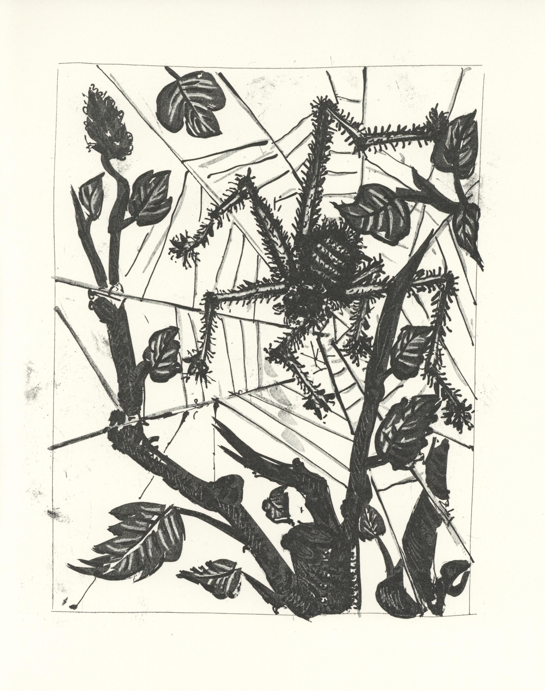 Lithograph on papier bouffant des Papeteries de Casteljoux paper. Unsigned and unnumbered, as issued. Paper Size: 12.99 x 9.84 inches. Catalogue raisonné reference: Orozco, Miguel. The Orozco Collection of Artist & Illustrated Books. Vol. 1 Picasso.