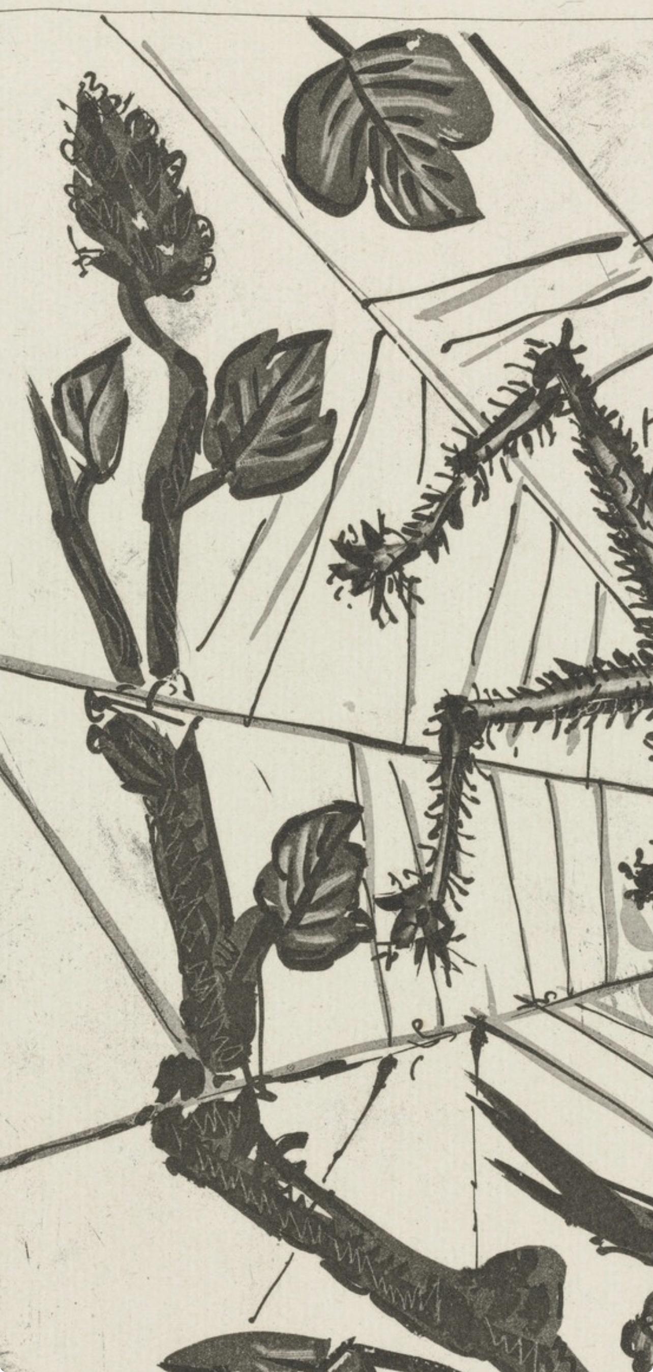 Picasso, L'Araignée, Histoire naturelle (nach) im Angebot 1
