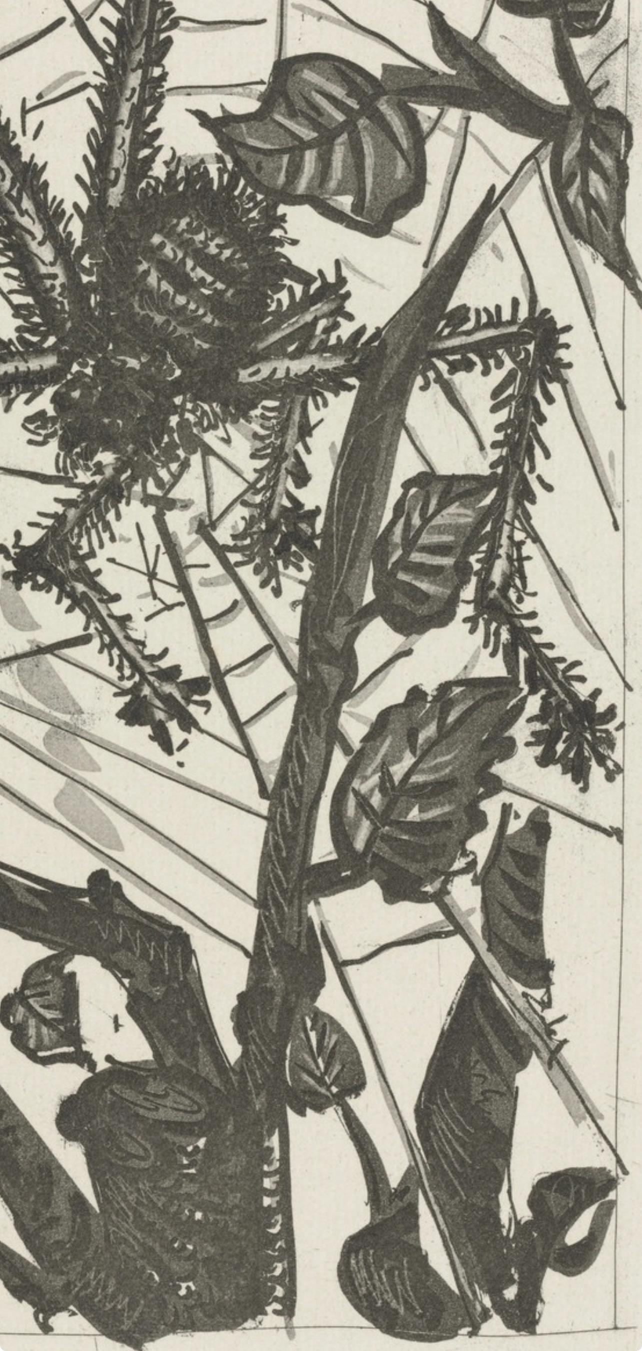Picasso, L'Araignée, Histoire naturelle (nach) im Angebot 2