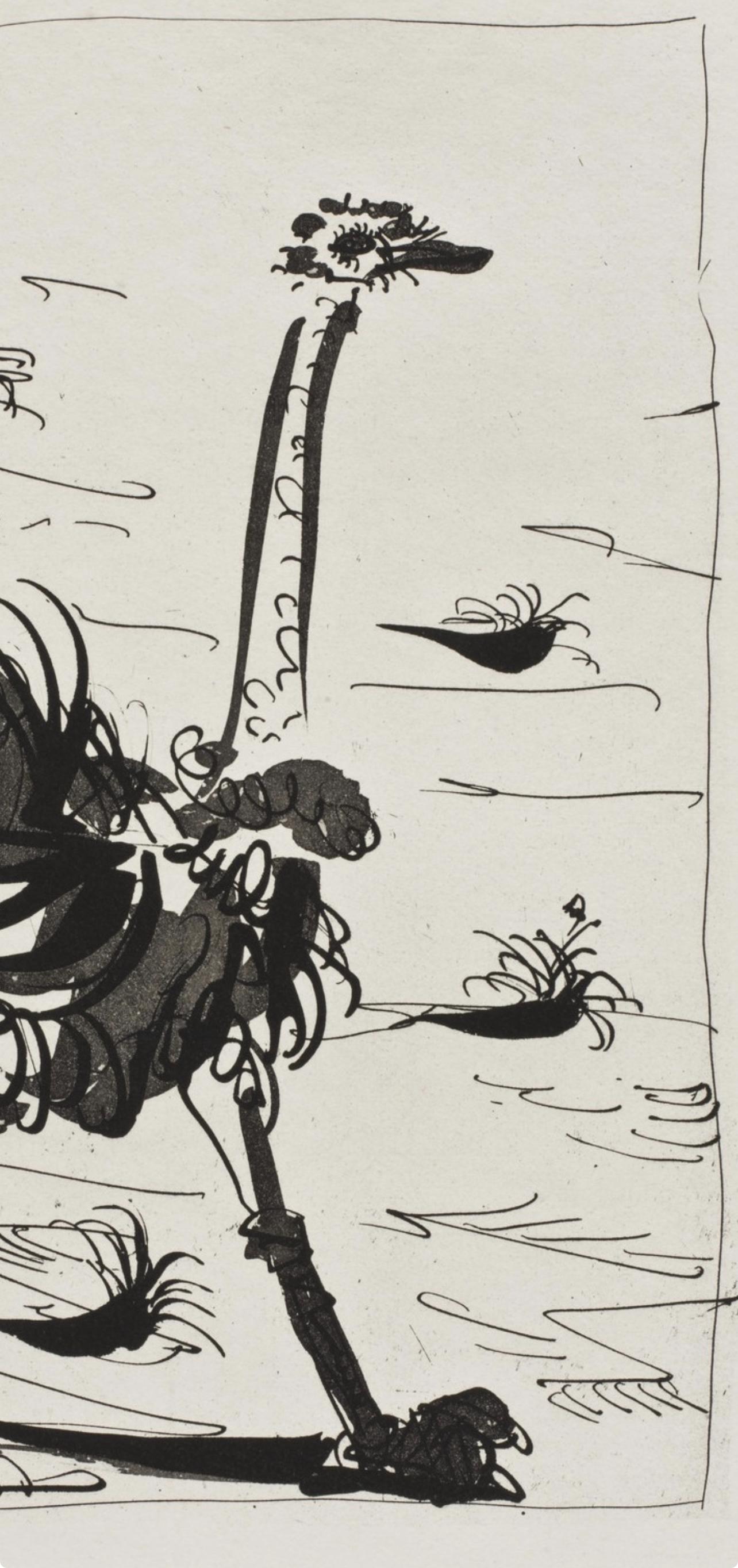 Picasso, L'Autruche, Histoire naturelle (dopo) - Print di Pablo Picasso