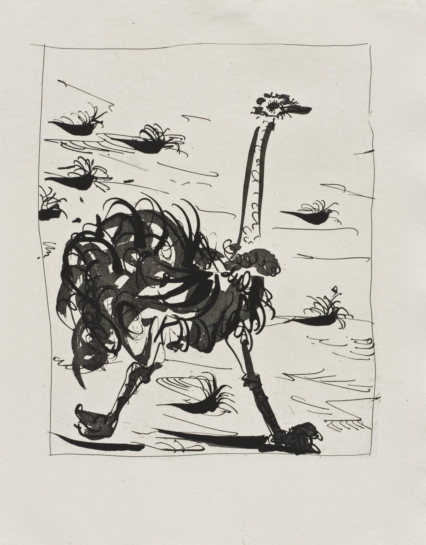 Picasso, L'Autruche, Histoire naturelle (after) For Sale 1