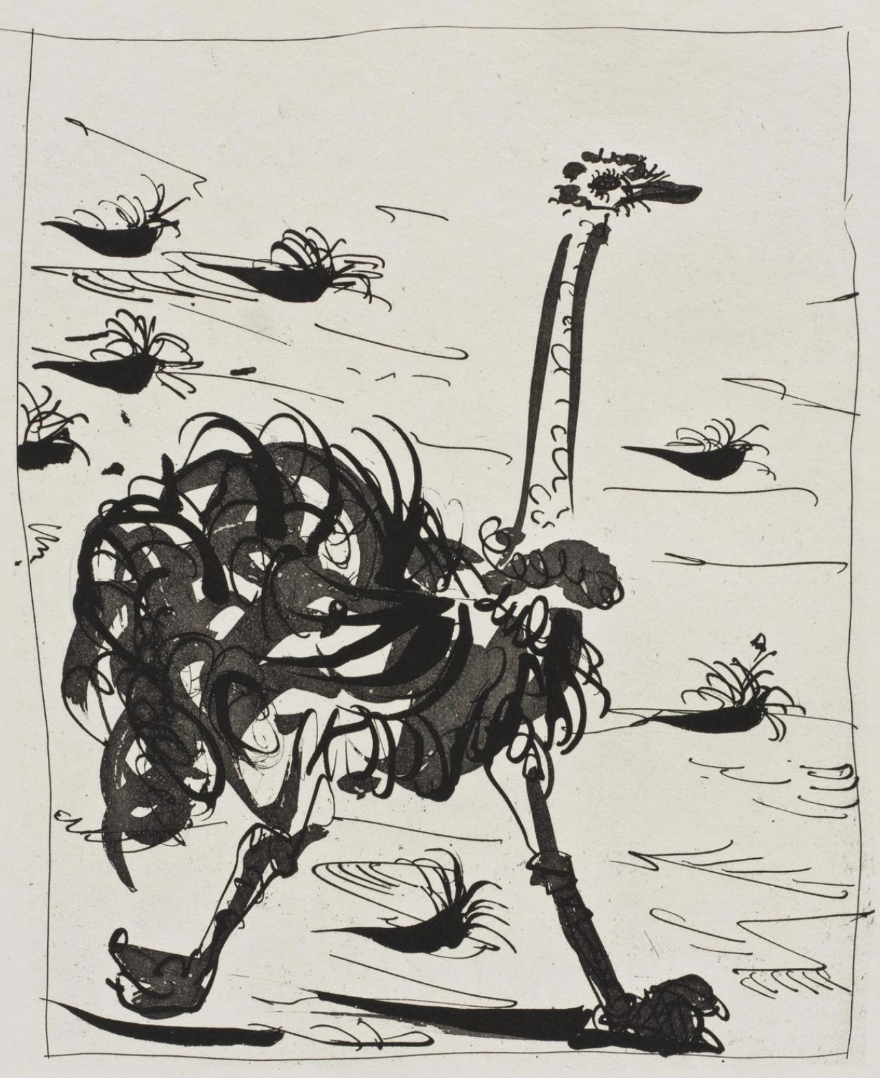 Pablo Picasso Animal Print - Picasso, L'Autruche, Histoire naturelle (after)