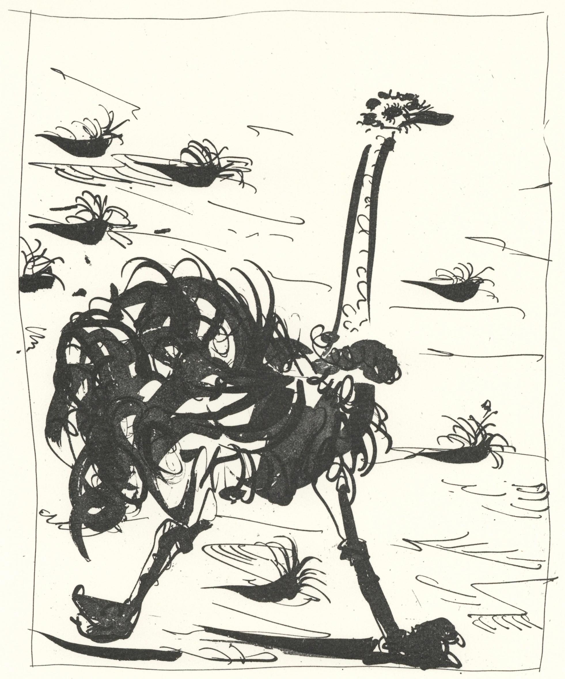 Picasso, L'Autruche, Histoire naturelle (después de)