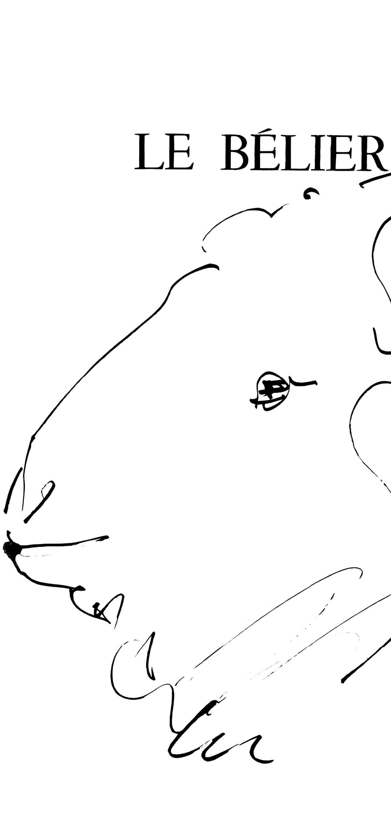 Picasso, Le bélier (Cramer 84 ; Johnson/Stein 77) (d'après) - Print de Pablo Picasso