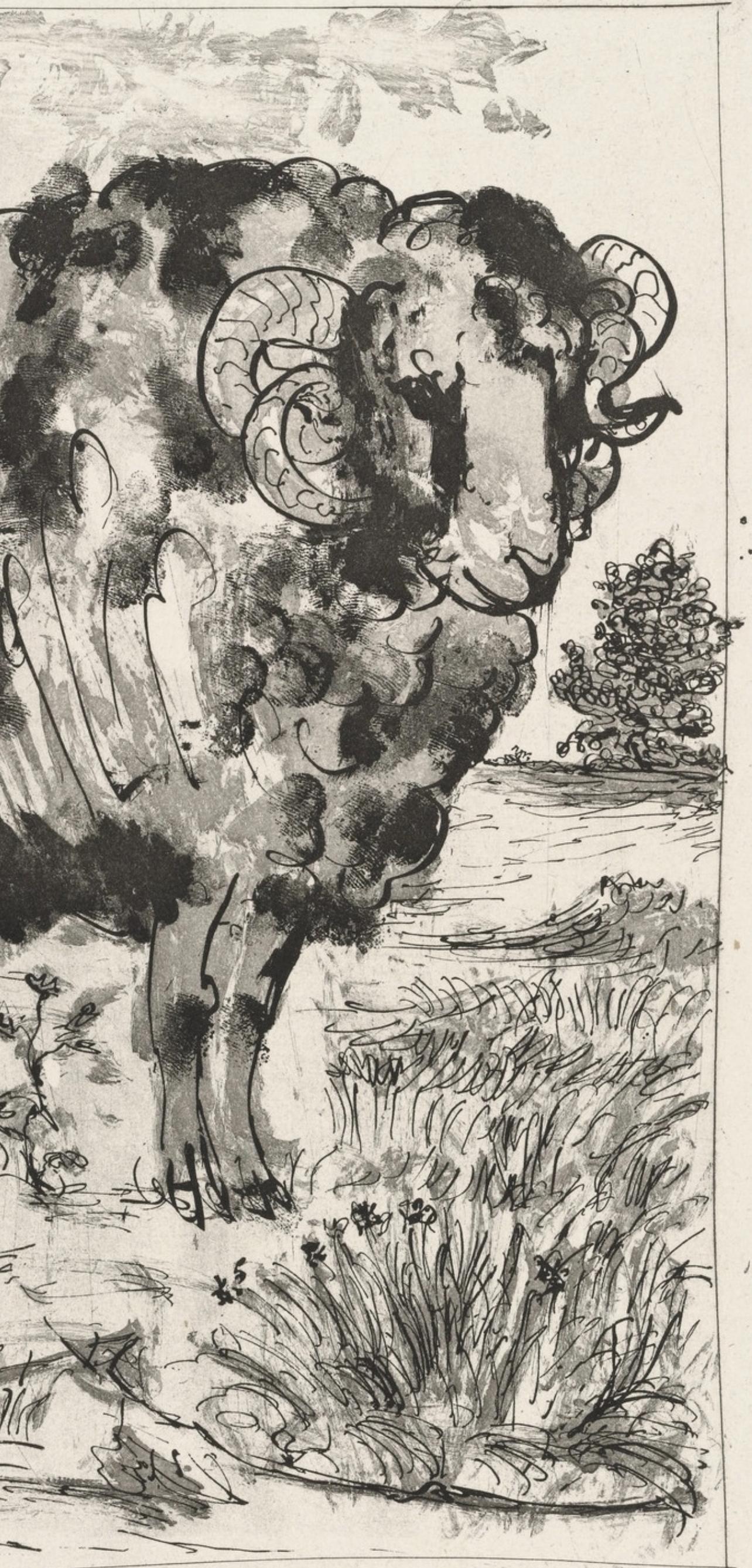 Picasso, Le Bélier, Histoire naturelle (d'après) - Print de Pablo Picasso