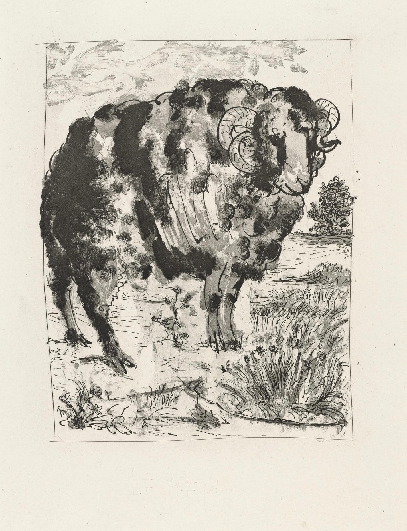 Picasso, Le Bélier, Histoire naturelle (d'après) en vente 1