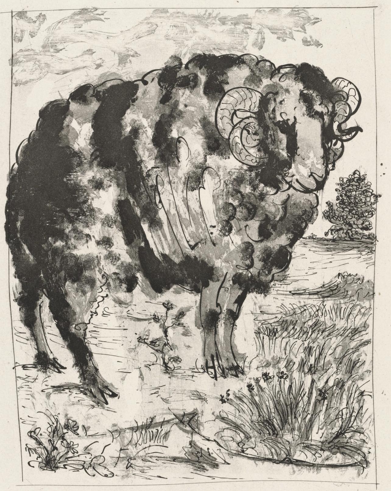 Animal Print Pablo Picasso - Picasso, Le Bélier, Histoire naturelle (d'après)