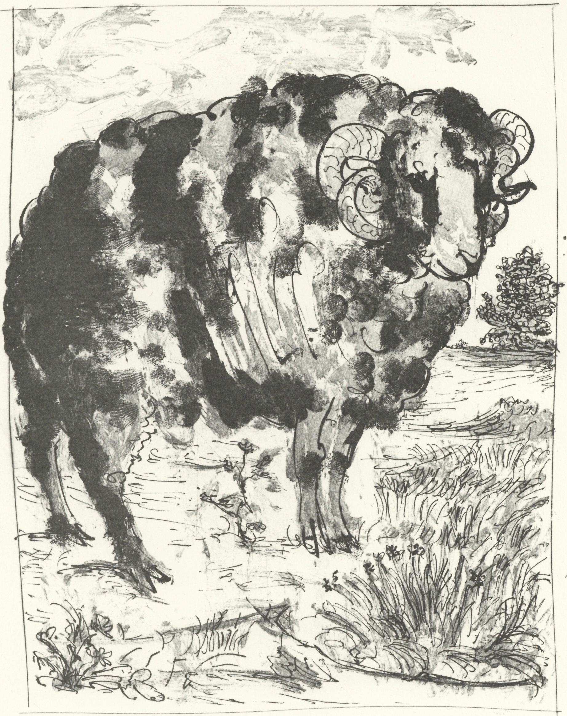 Picasso, Le Bélier, Historia natural (después de)