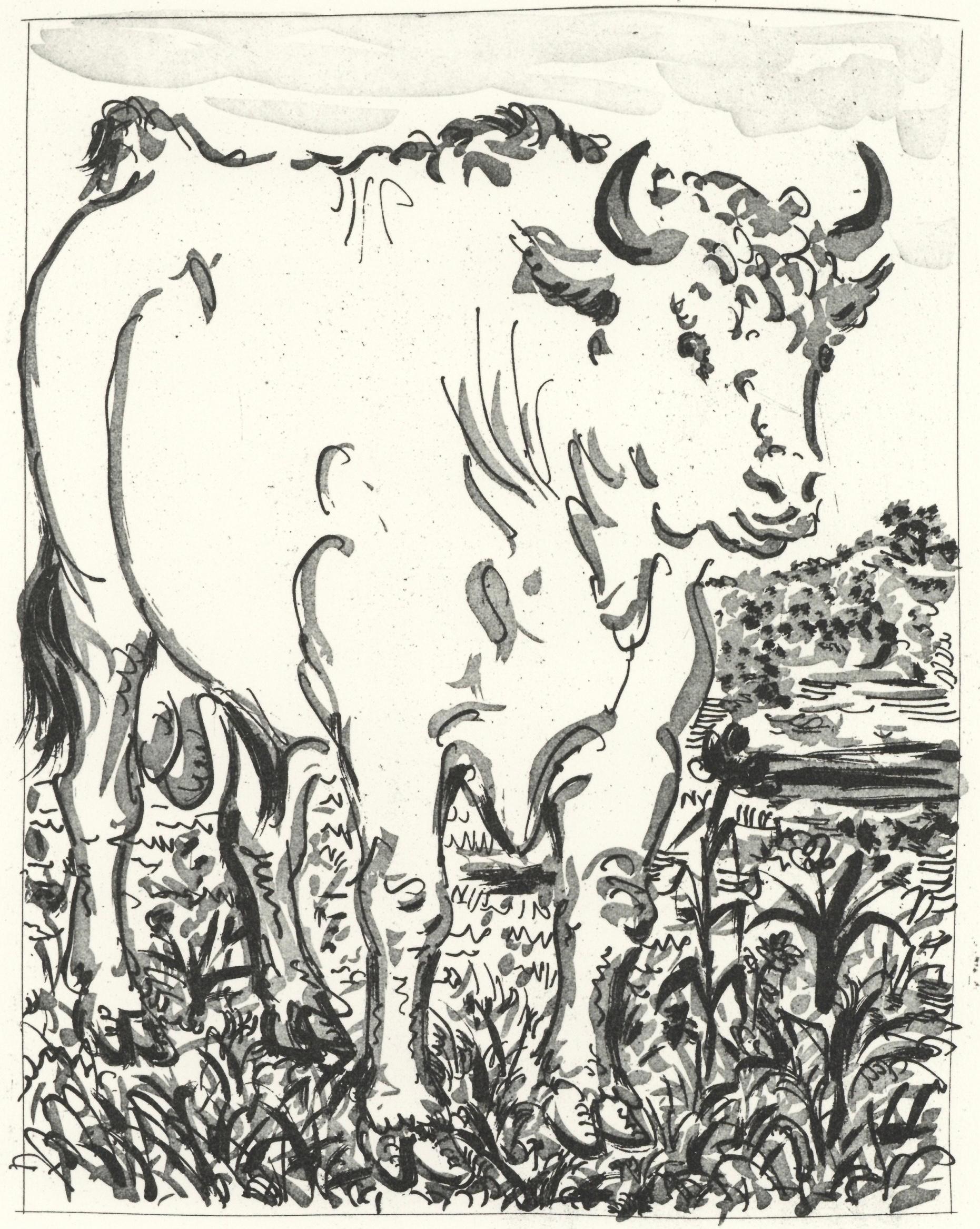 Picasso, Le Bœuf, Histoire naturelle (d'après)