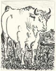 Picasso, Le Bœuf, Histoire naturelle (d'après)