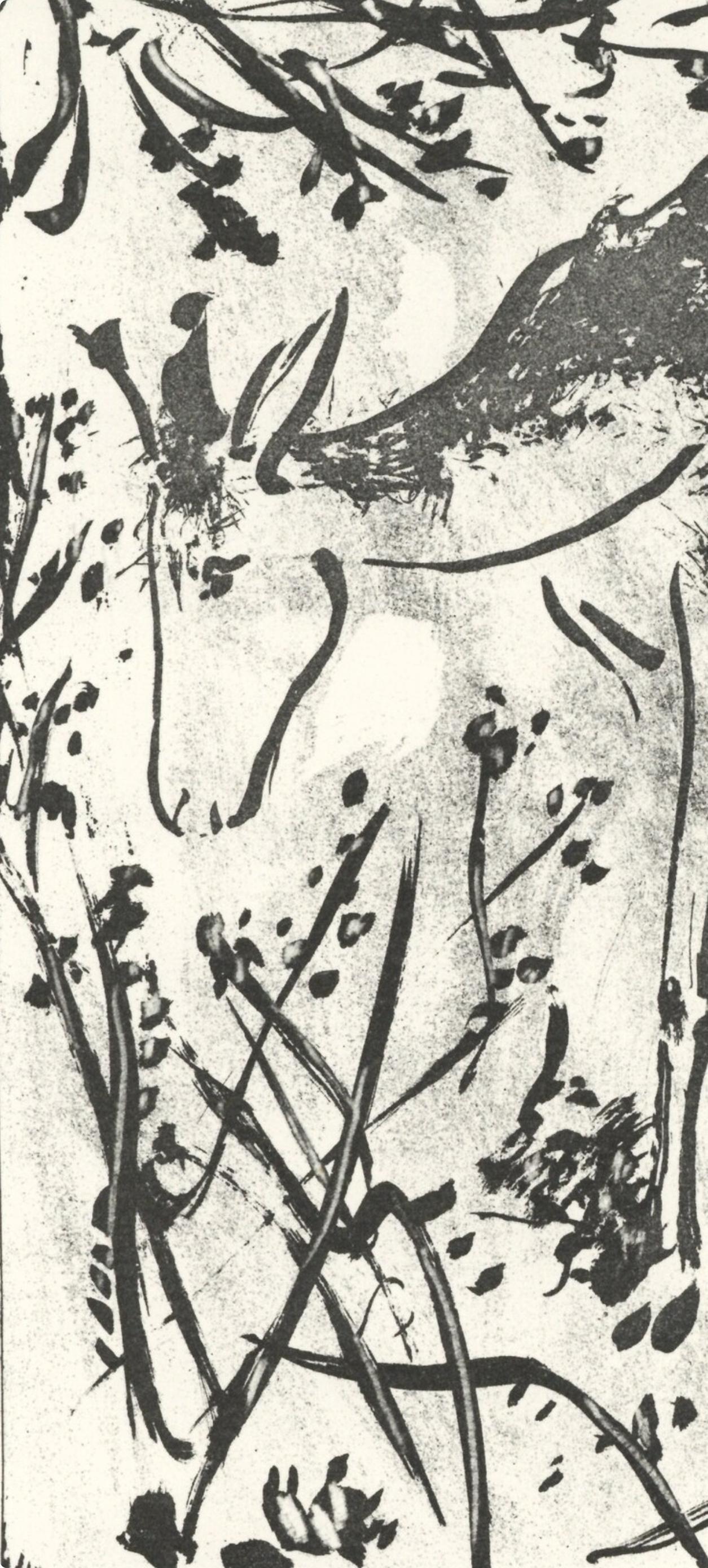 Picasso, Le Cerf, Histoire naturelle (nach) – Print von Pablo Picasso
