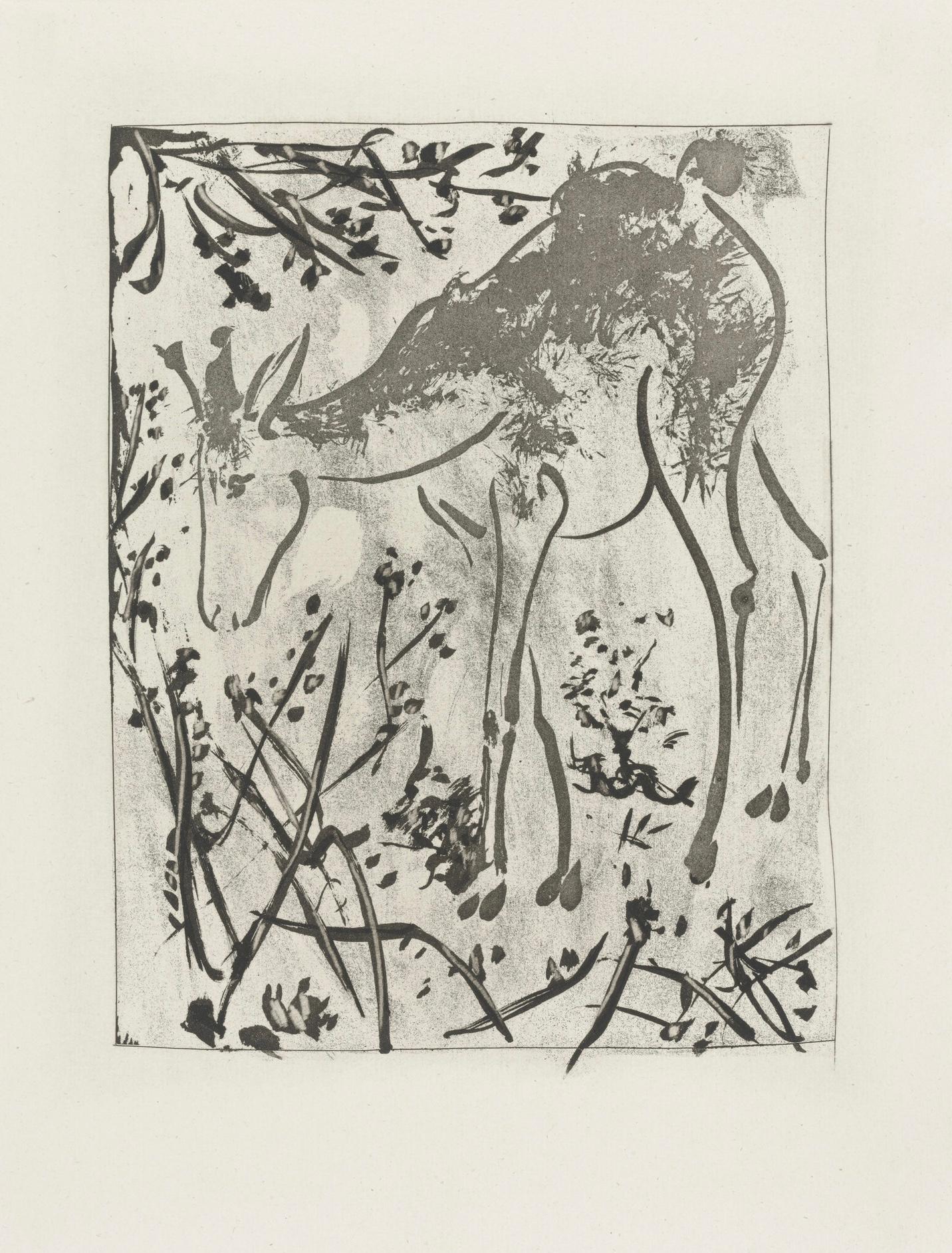 Picasso, Le Cerf, Histoire naturelle (after) For Sale 1