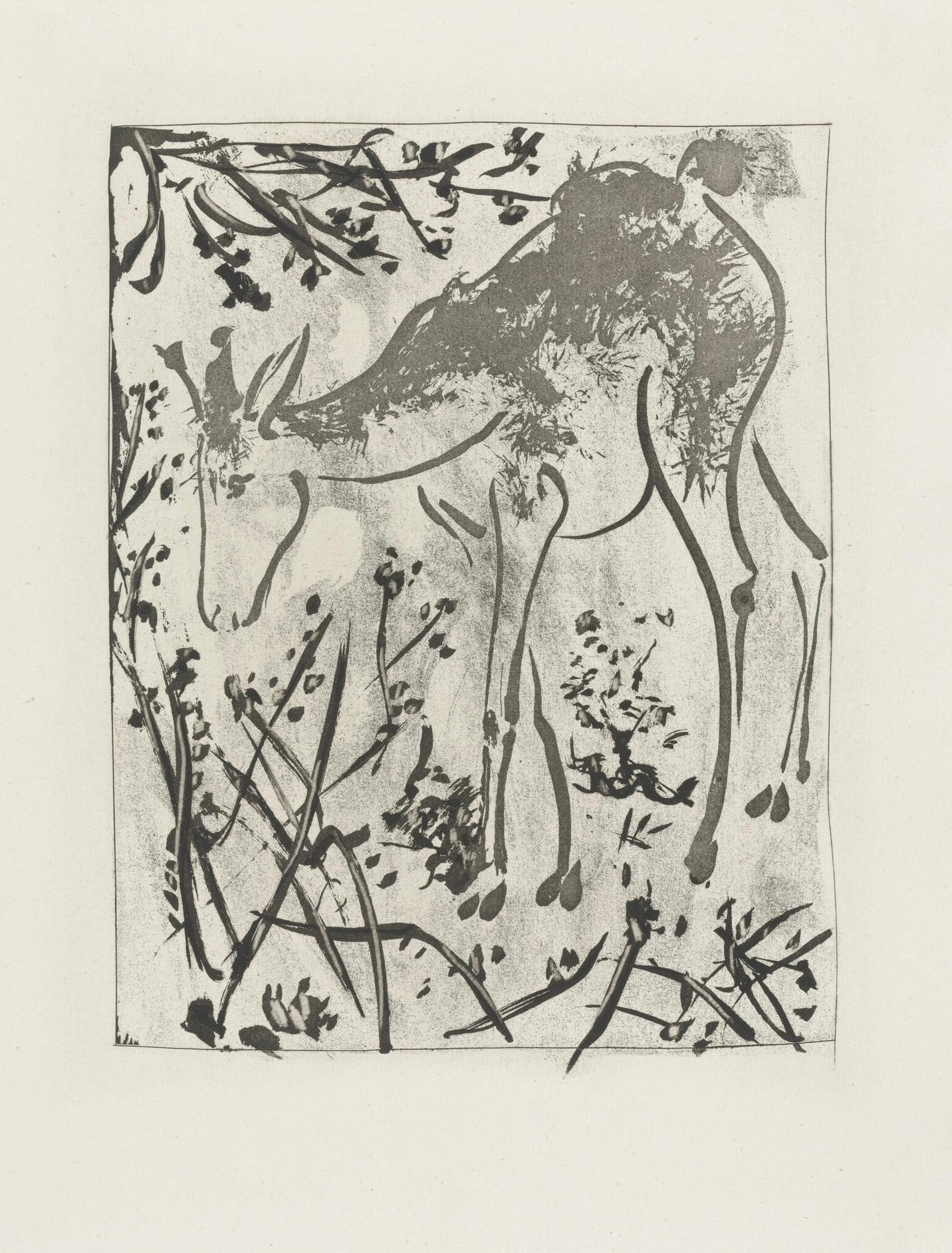 Lithograph on papier bouffant des Papeteries de Casteljoux paper. Unsigned and unnumbered, as issued. Good condition. Notes: From the folio, Eaux-fortes originale pour des textes de Buffon (Histoire naturelle), 1970. Published by Martin Fabiani,