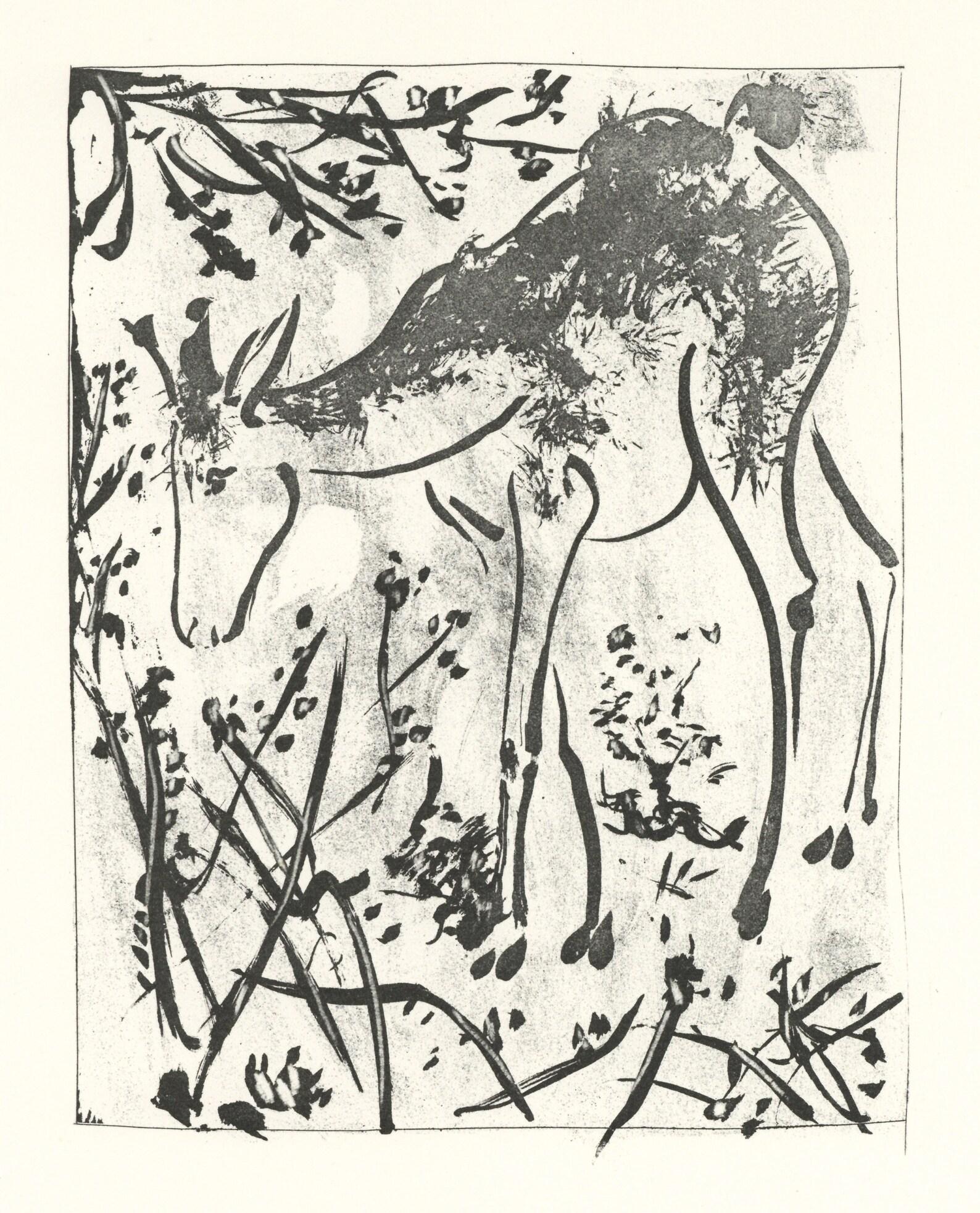 Lithographie auf Papier bouffant des Papeteries de Casteljoux. Unsigniert und nicht nummeriert, wie ausgegeben. Guter Zustand. Anmerkungen: Aus dem Folio, Eaux-fortes originale pour des textes de Buffon (Histoire naturelle), 1970. Herausgegeben von