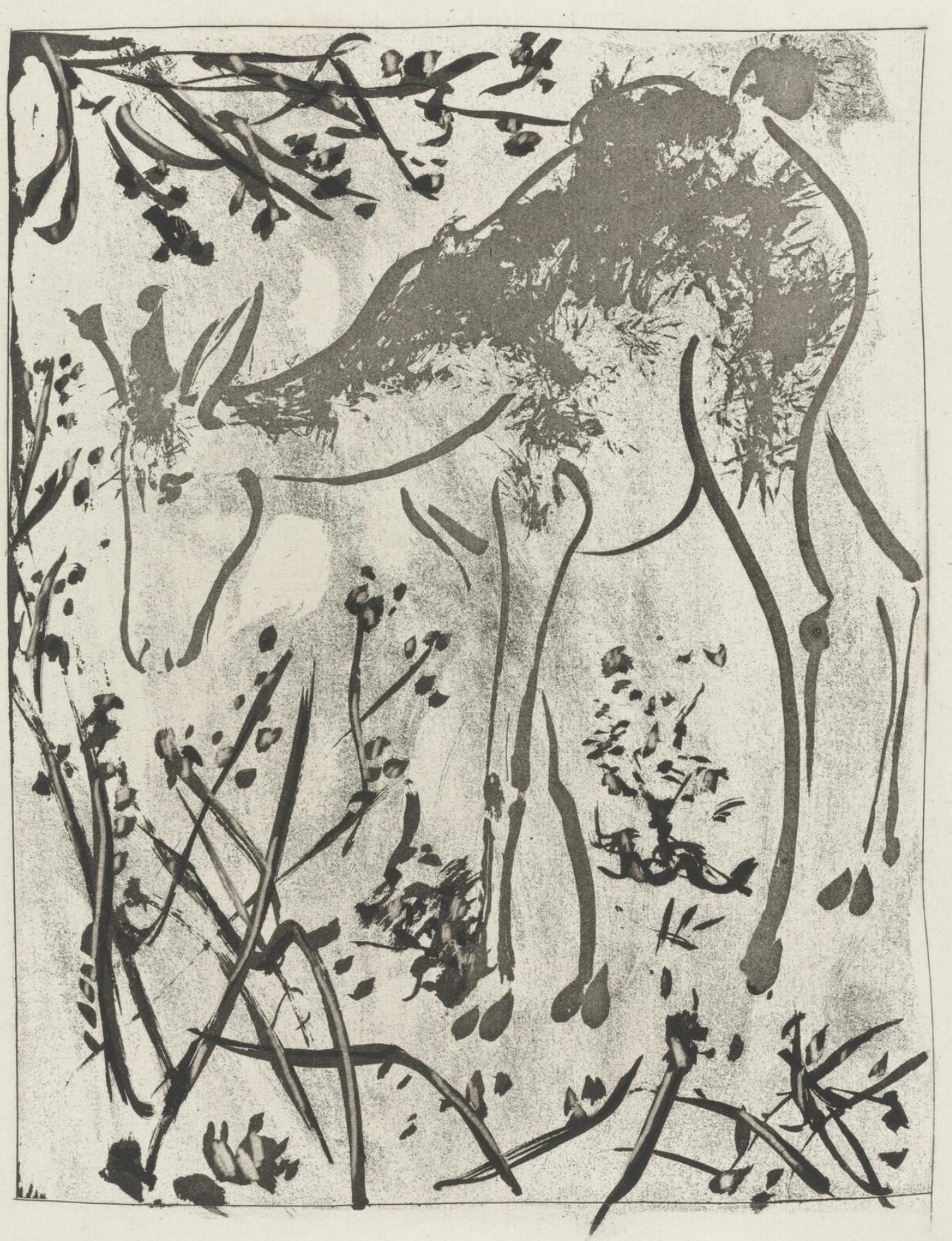 Pablo Picasso Landscape Print - Picasso, Le Cerf, Histoire naturelle (after)