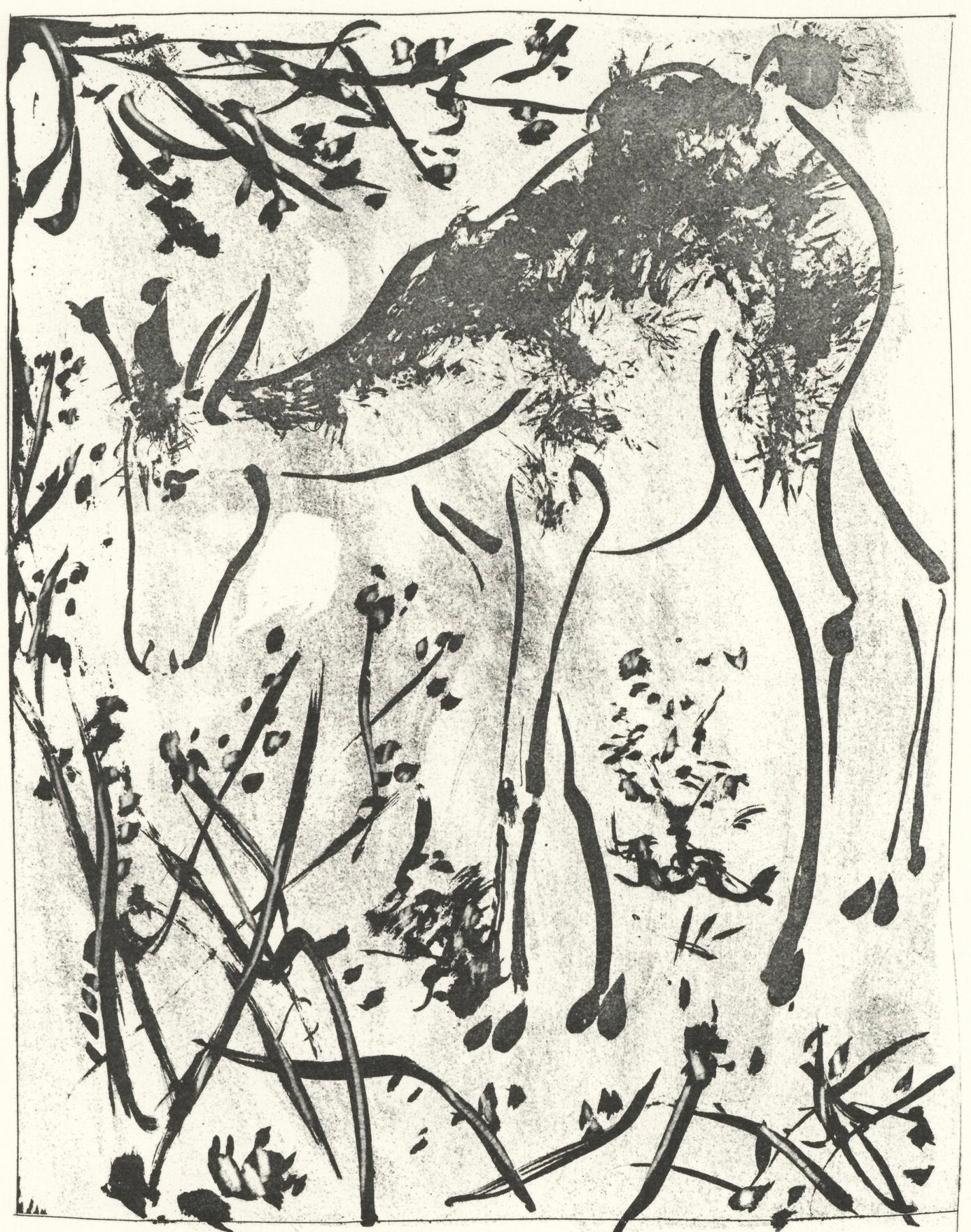 Picasso, Le Cerf, Histoire naturelle (d'après)