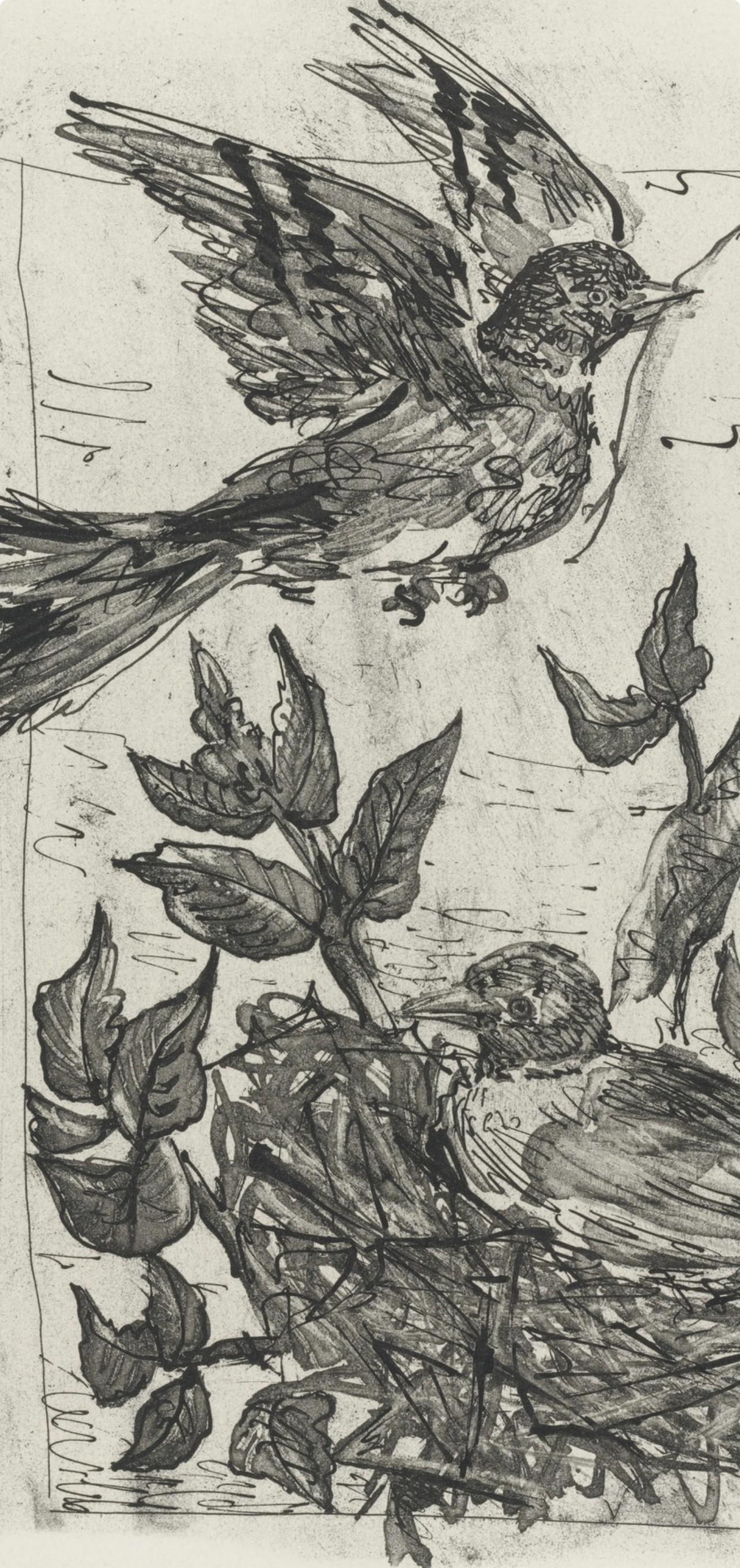 Picasso, Le Chardonneret, Histoire naturelle (d'après) - Print de Pablo Picasso