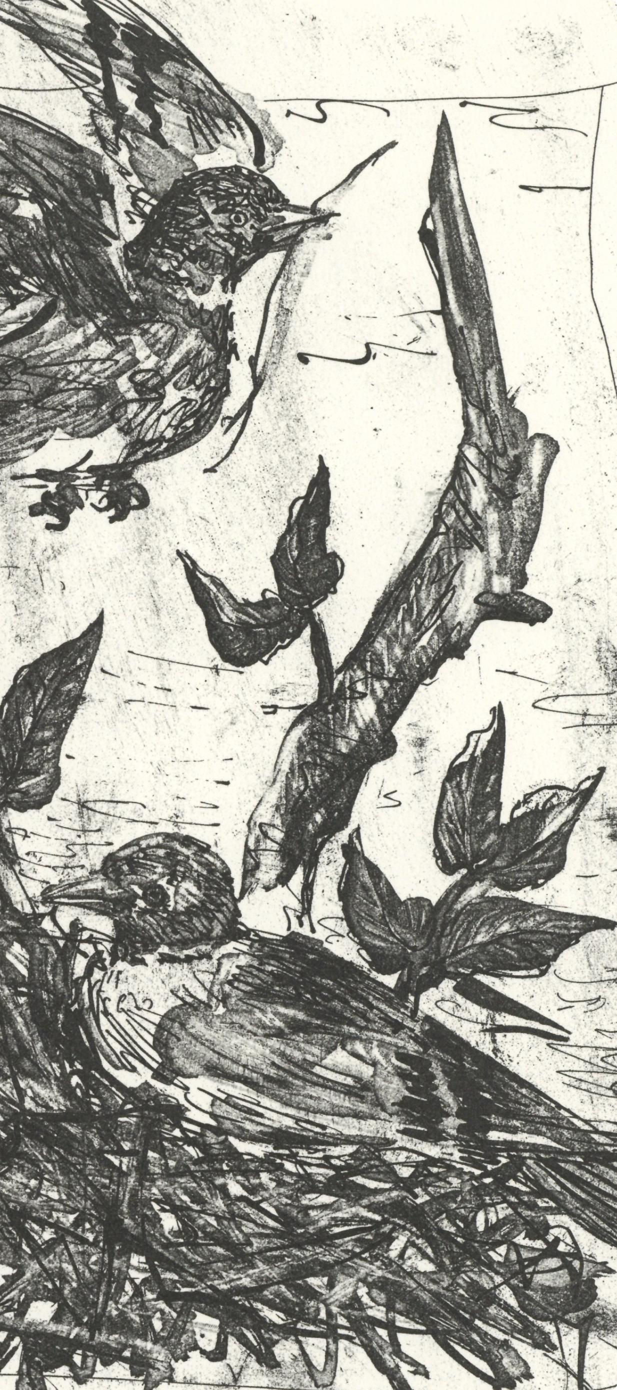 Picasso, Le Chardonneret, Histoire naturelle (after) - Print by Pablo Picasso