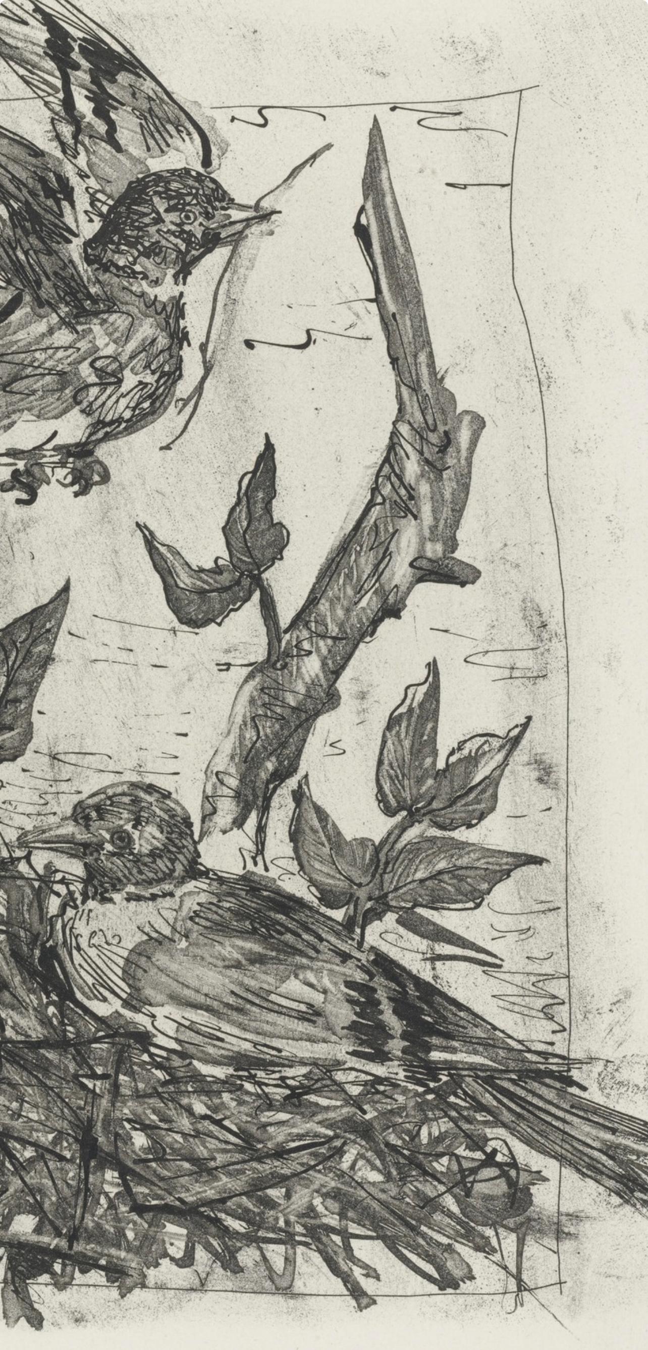 Picasso, Le Chardonneret, Histoire naturelle (d'après) - Moderne Print par Pablo Picasso