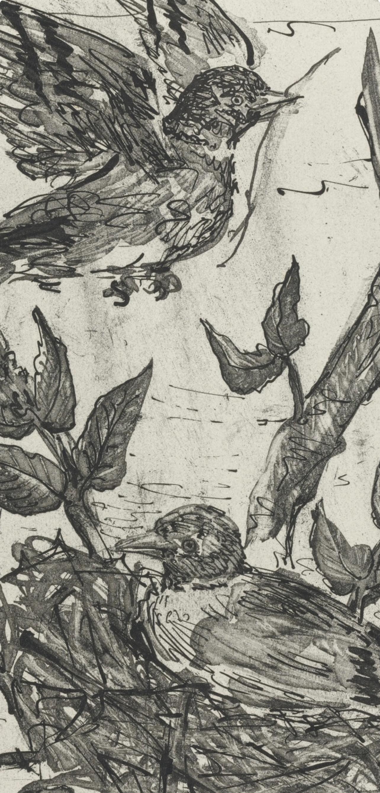 Picasso, Le Chardonneret, Histoire naturelle (d'après) - Gris Landscape Print par Pablo Picasso