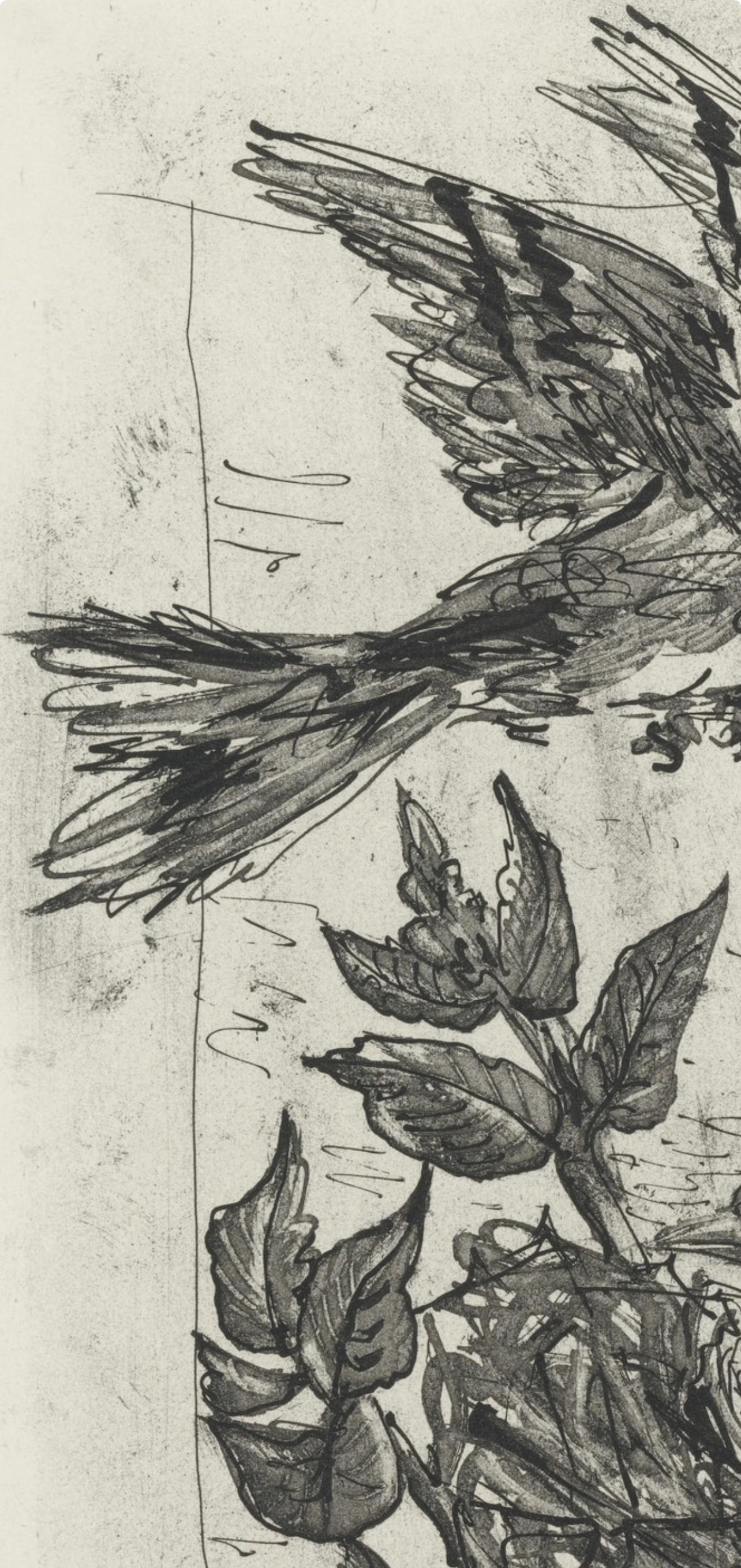 Lithographie sur papier bouffant des Papeteries de Casteljoux. Non signé et non numéroté, tel que publié. Bon état. Notes : D'après l'in-folio, Eaux-fortes originales pour des textes de Buffon (Histoire naturelle), 1970. Publié par Martin Fabiani,