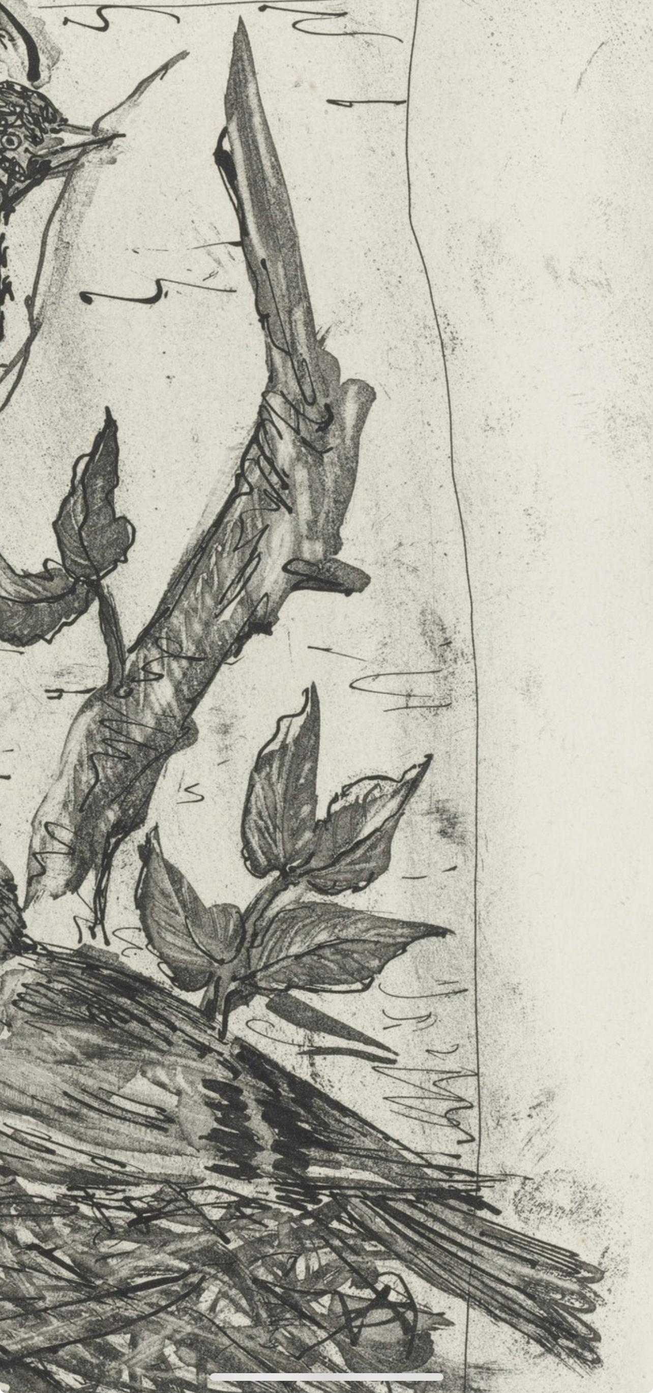Picasso, Le Chardonneret, Histoire naturelle (d'après) en vente 1