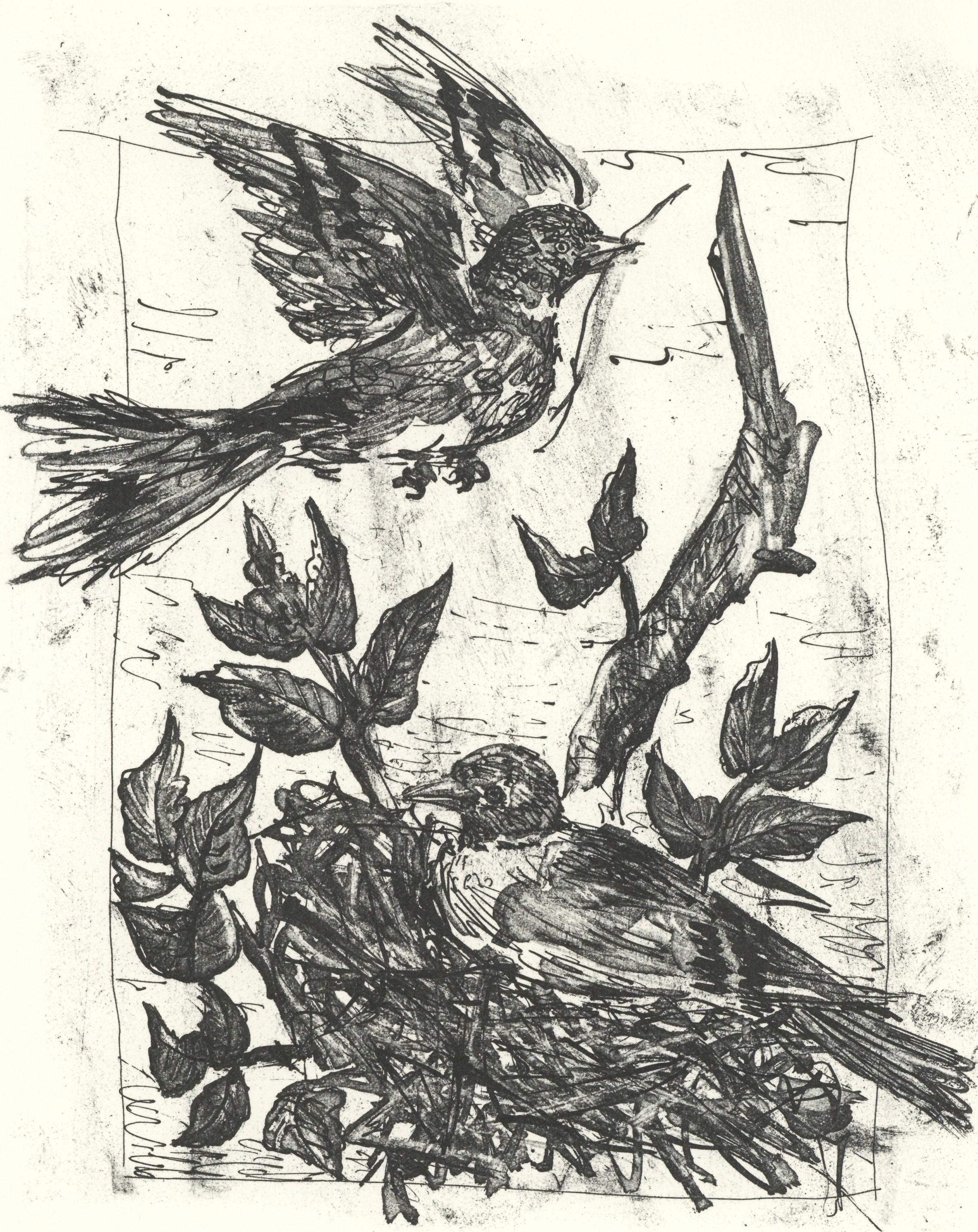 Picasso, Le Chardonneret, Histoire naturelle (after)