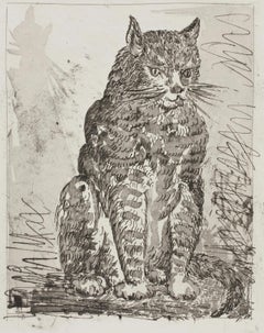Picasso, Le Chat, Histoire naturelle (after)