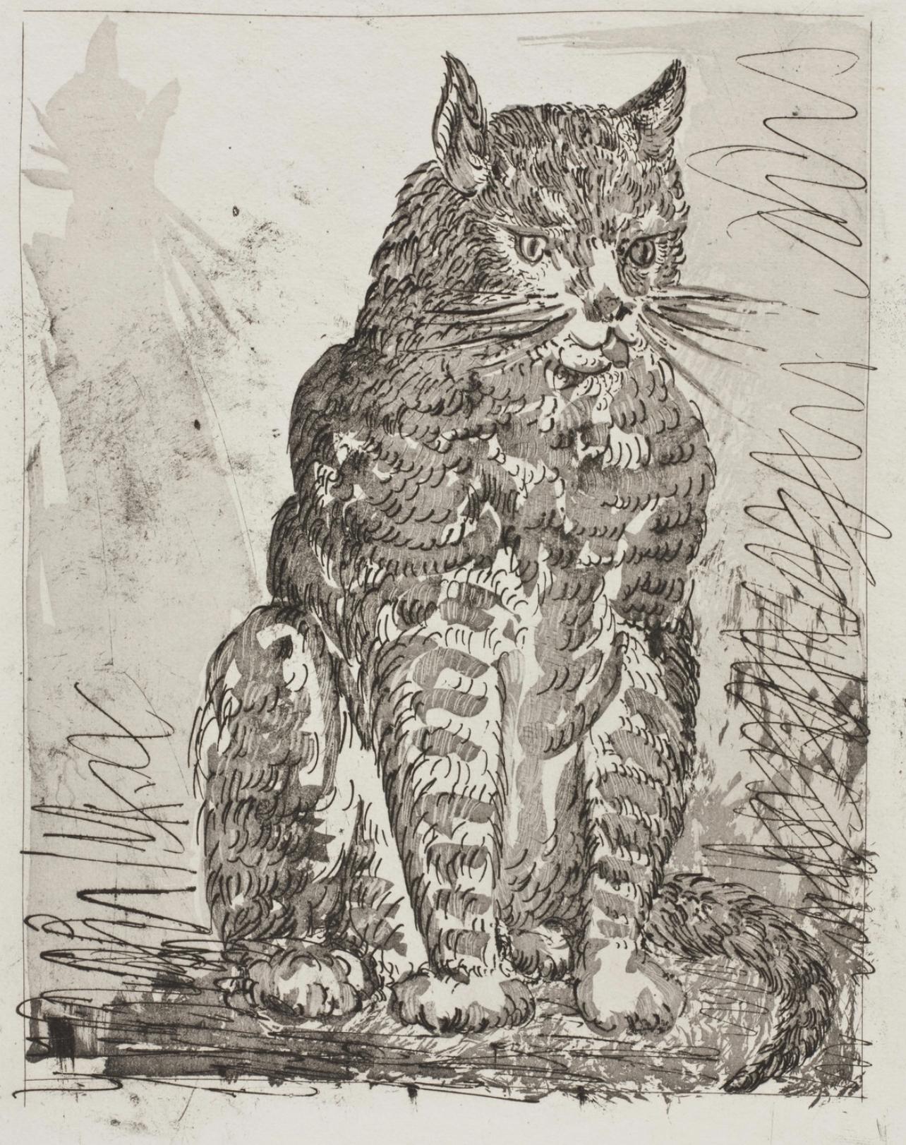 Picasso, Le Chat, Histoire naturelle (después de)
