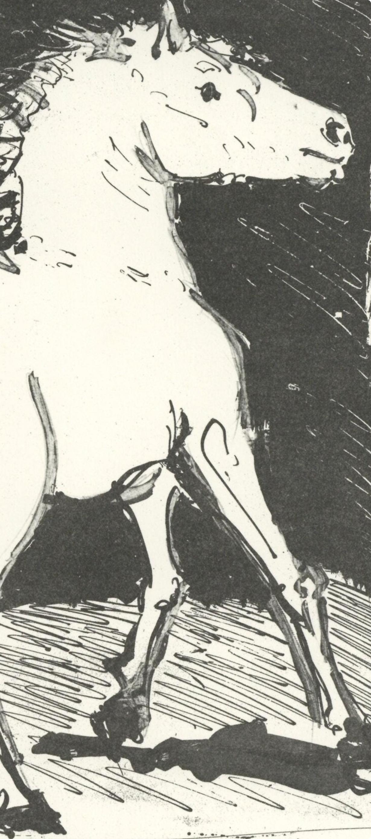 Picasso, Le Cheval, Eaux-fortes originale pour des textes de Buffon (after) - Print by Pablo Picasso
