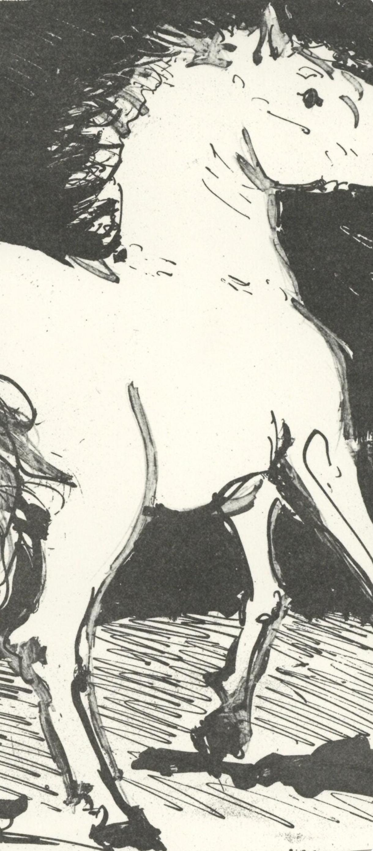 Picasso, Le Cheval, Eaux-fortes originale pour des textes de Buffon (after) - Cubist Print by Pablo Picasso