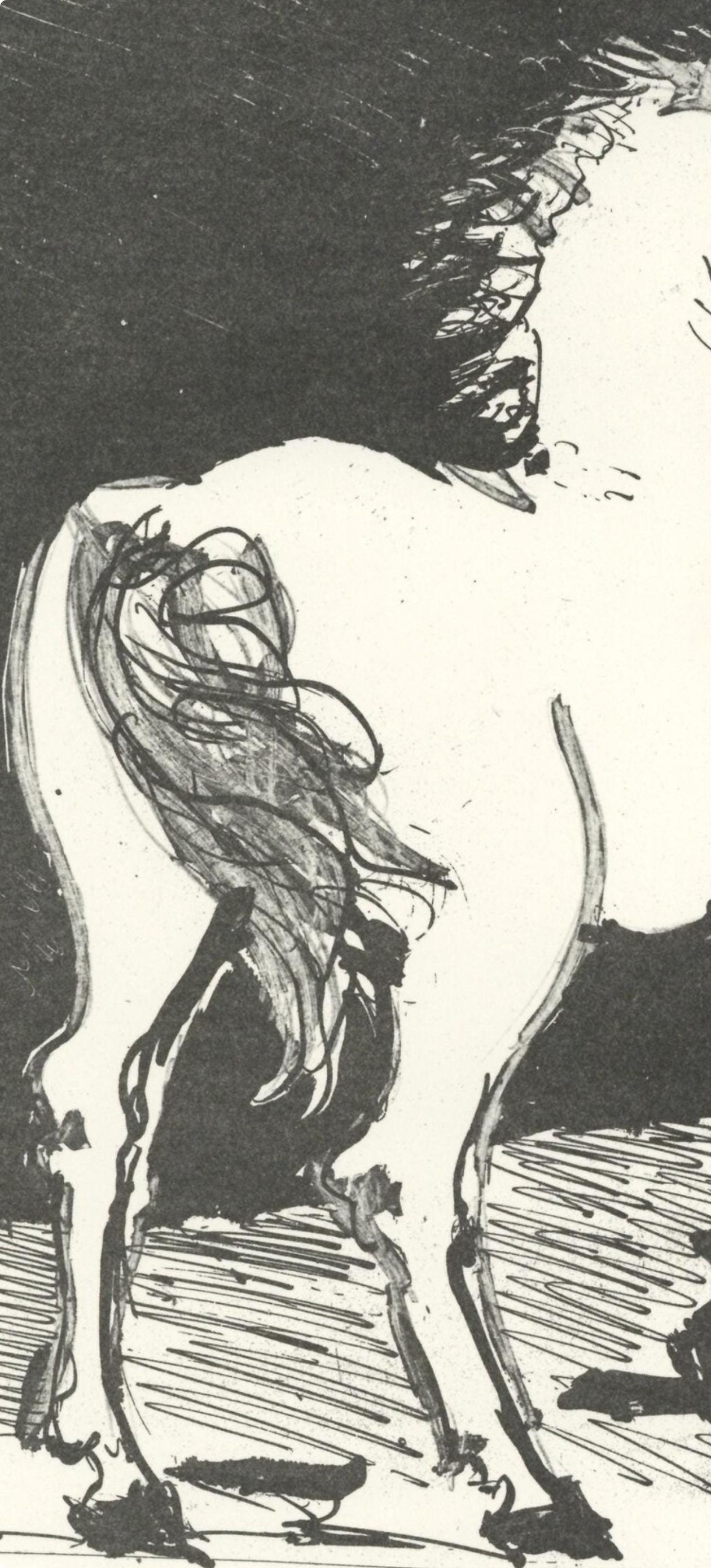 Picasso, Le Cheval, Eaux-fortes originale pour des textes de Buffon (after) - Beige Landscape Print by Pablo Picasso