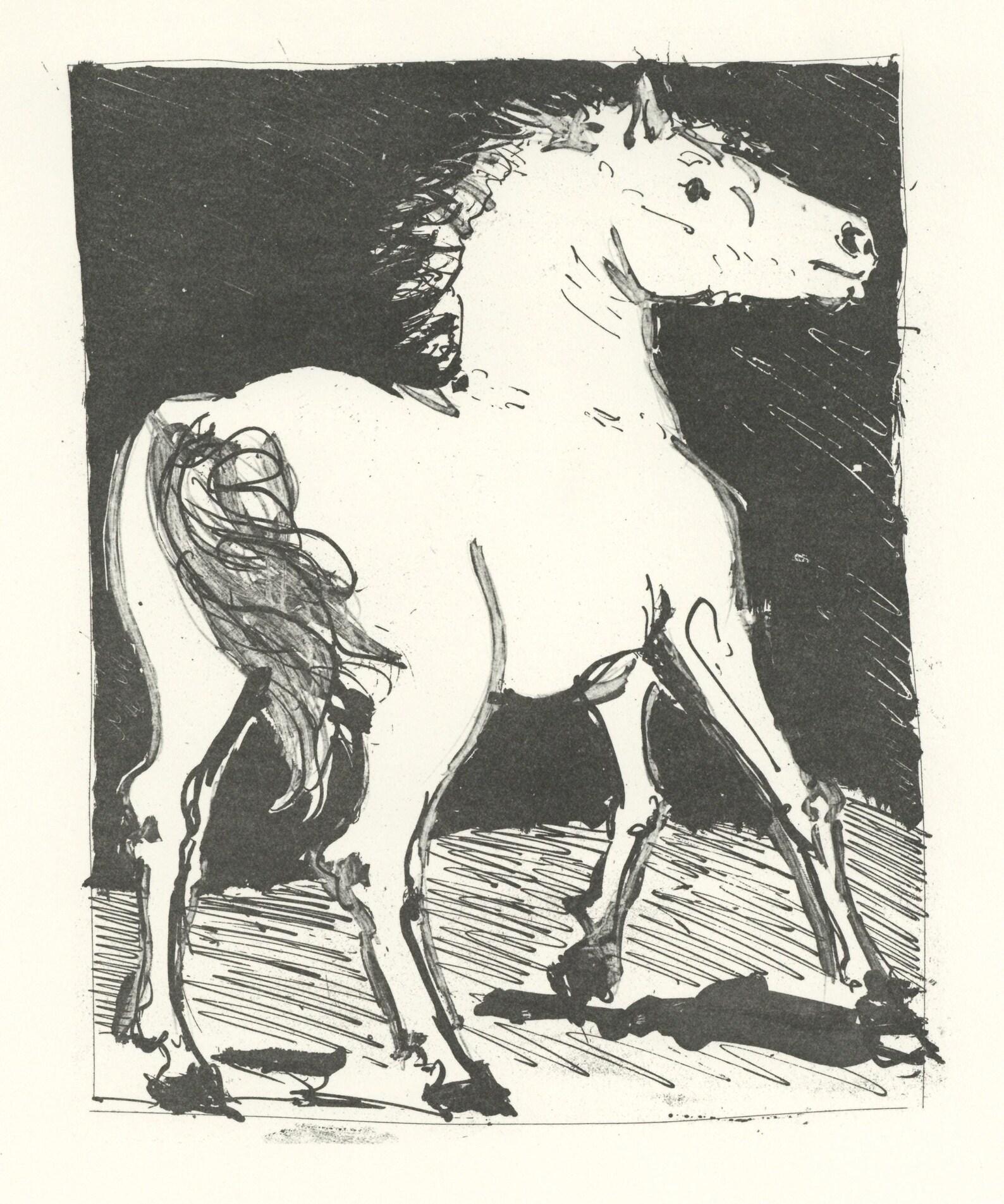 Lithograph on papier bouffant des Papeteries de Casteljoux paper. Unsigned and unnumbered, as issued. Paper Size: 12.99 x 9.84 inches. Catalogue raisonné reference: Orozco, Miguel. The Orozco Collection of Artist & Illustrated Books. Vol. 1 Picasso.