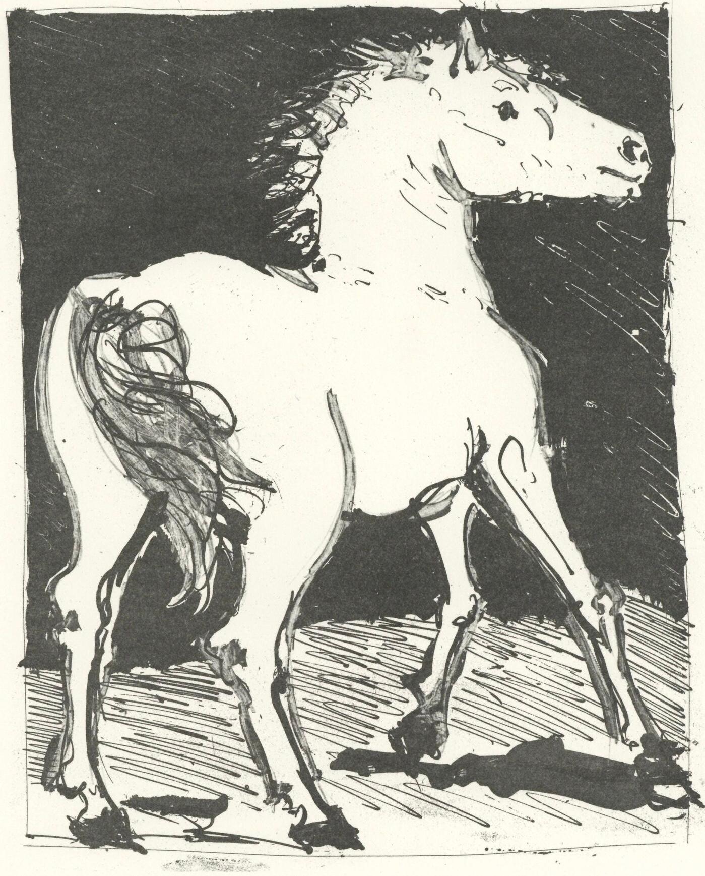 Picasso, Le Cheval, Histoire naturelle (nach)