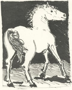 Picasso, Le Cheval, Eaux-fortes originale pour des textes de Buffon (after)