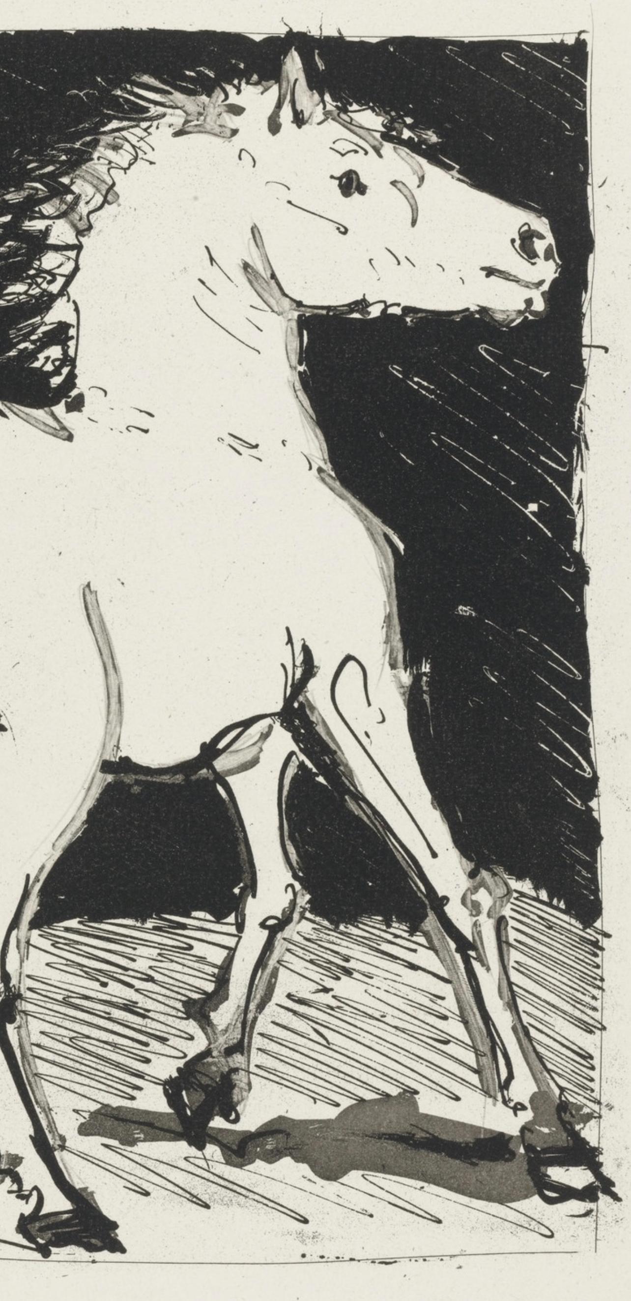 Picasso, Le Cheval, Histoire naturelle (d'après) - Print de Pablo Picasso