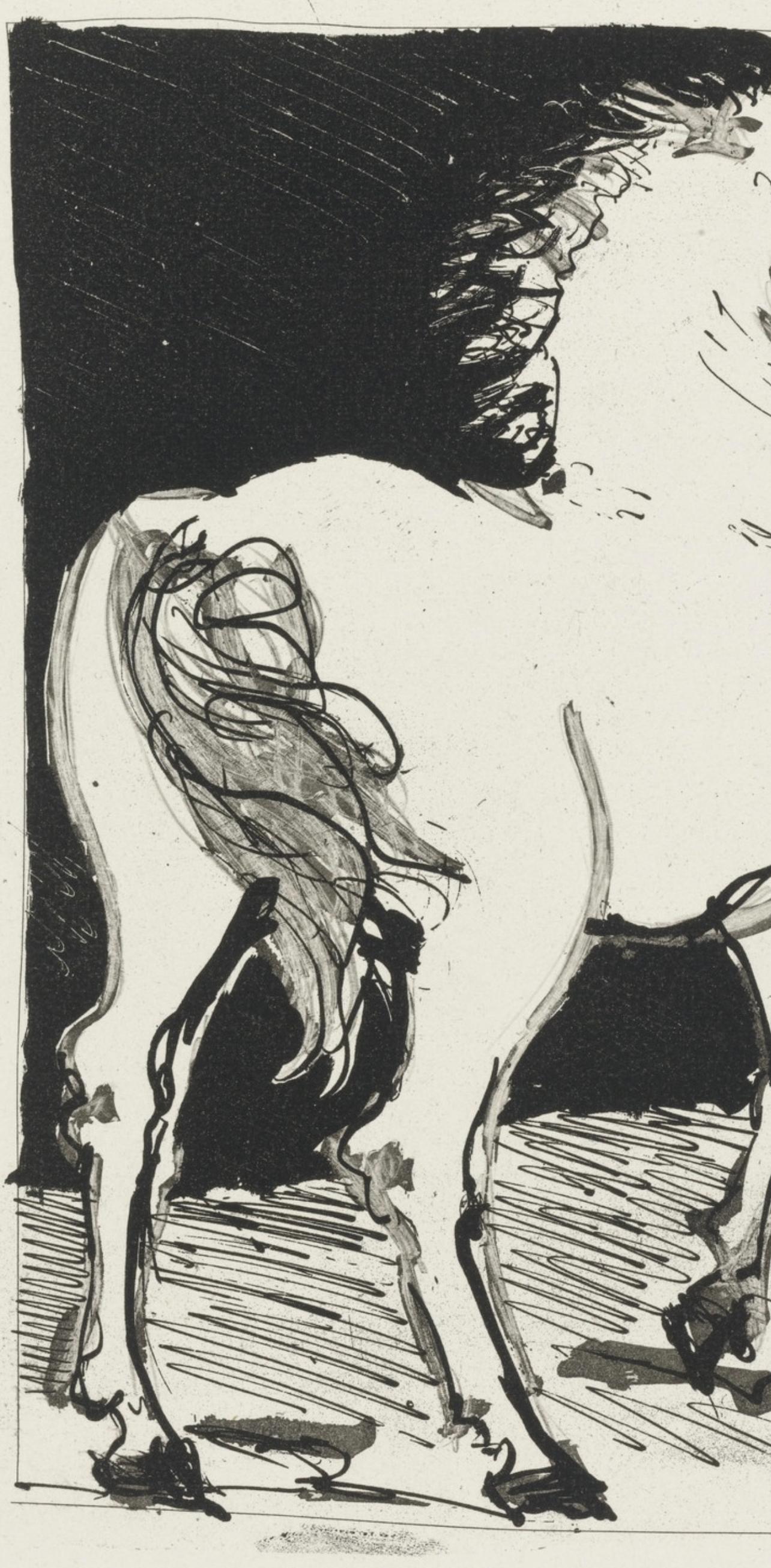 Picasso, Le Cheval, Histoire naturelle (d'après) - Moderne Print par Pablo Picasso