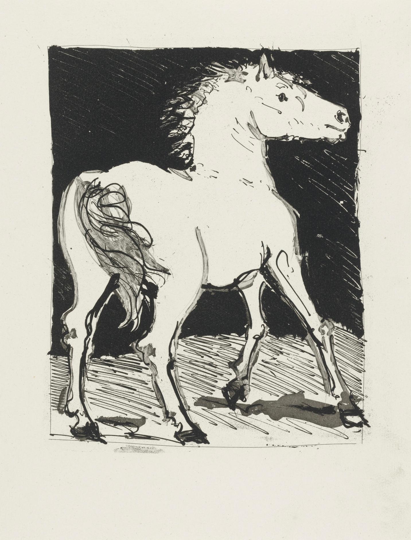 Picasso, Le Cheval, Histoire naturelle (after) For Sale 1