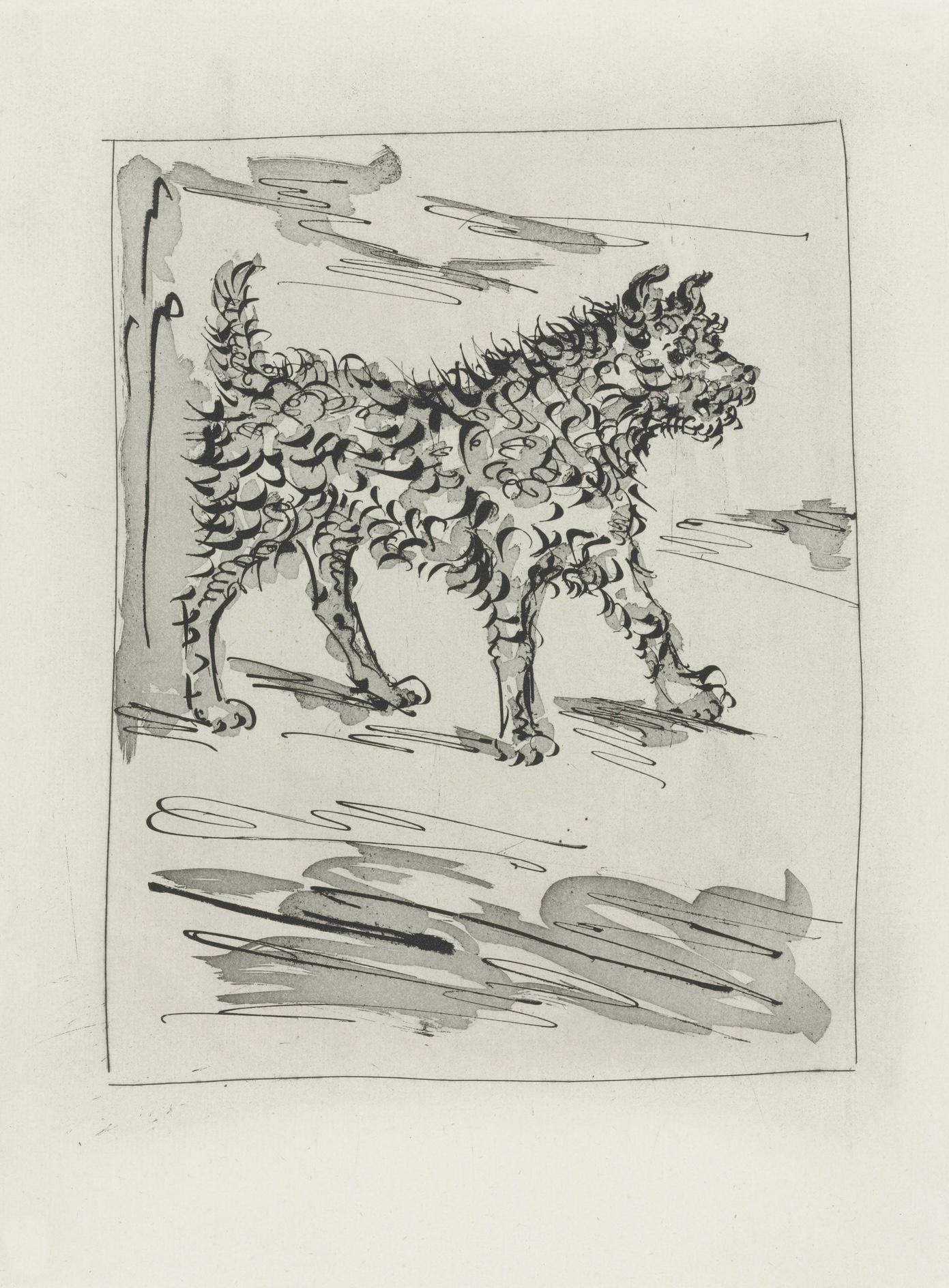 Picasso, Le Chien, Histoire naturelle (after) For Sale 2