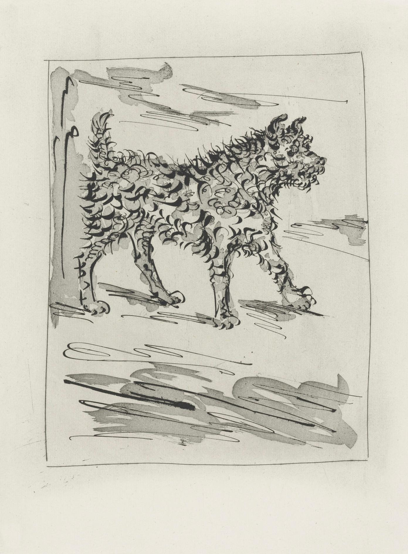 Picasso, Le Chien, Histoire naturelle (after) For Sale 1