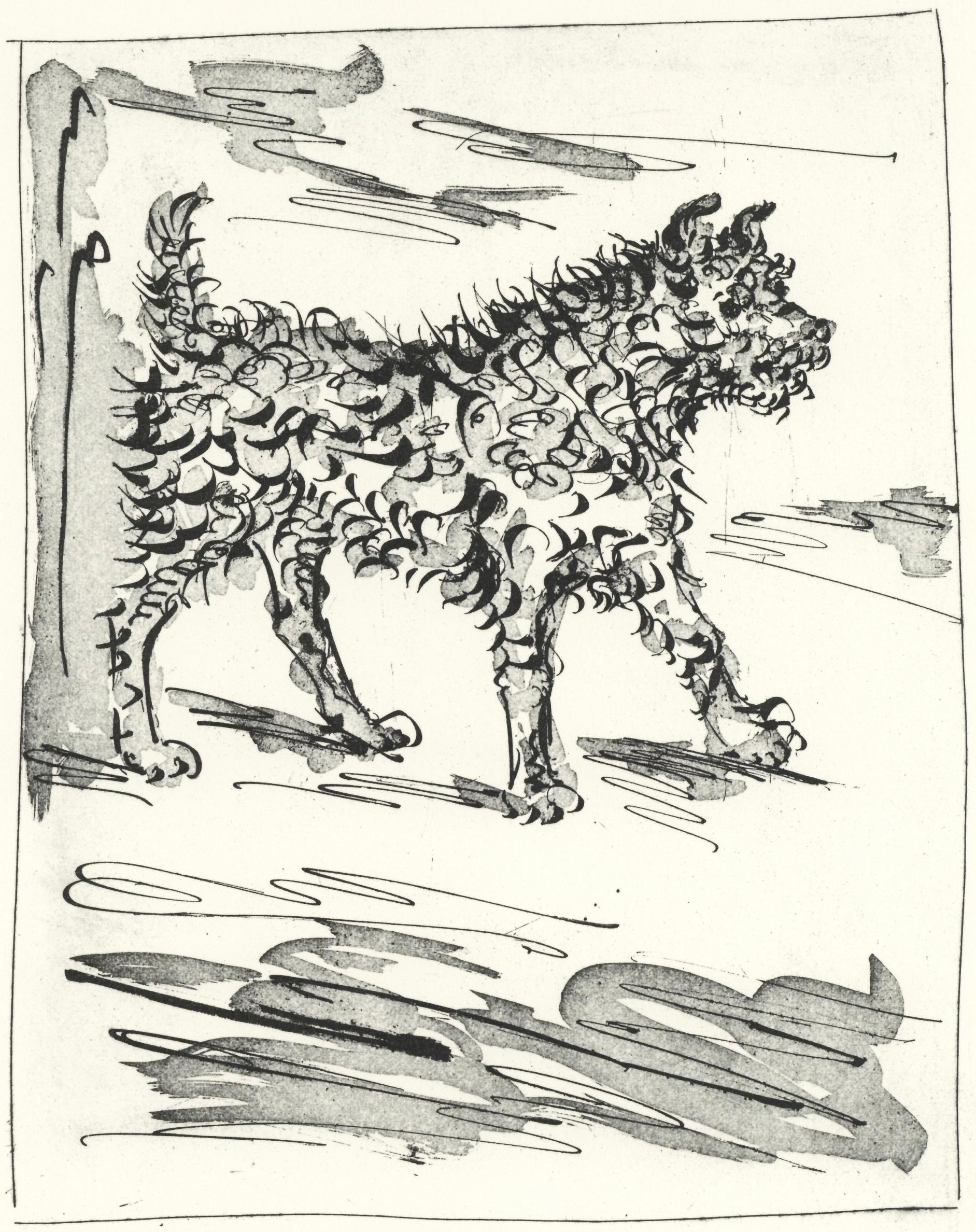 Picasso, Le Chien, Histoire naturelle (dopo)