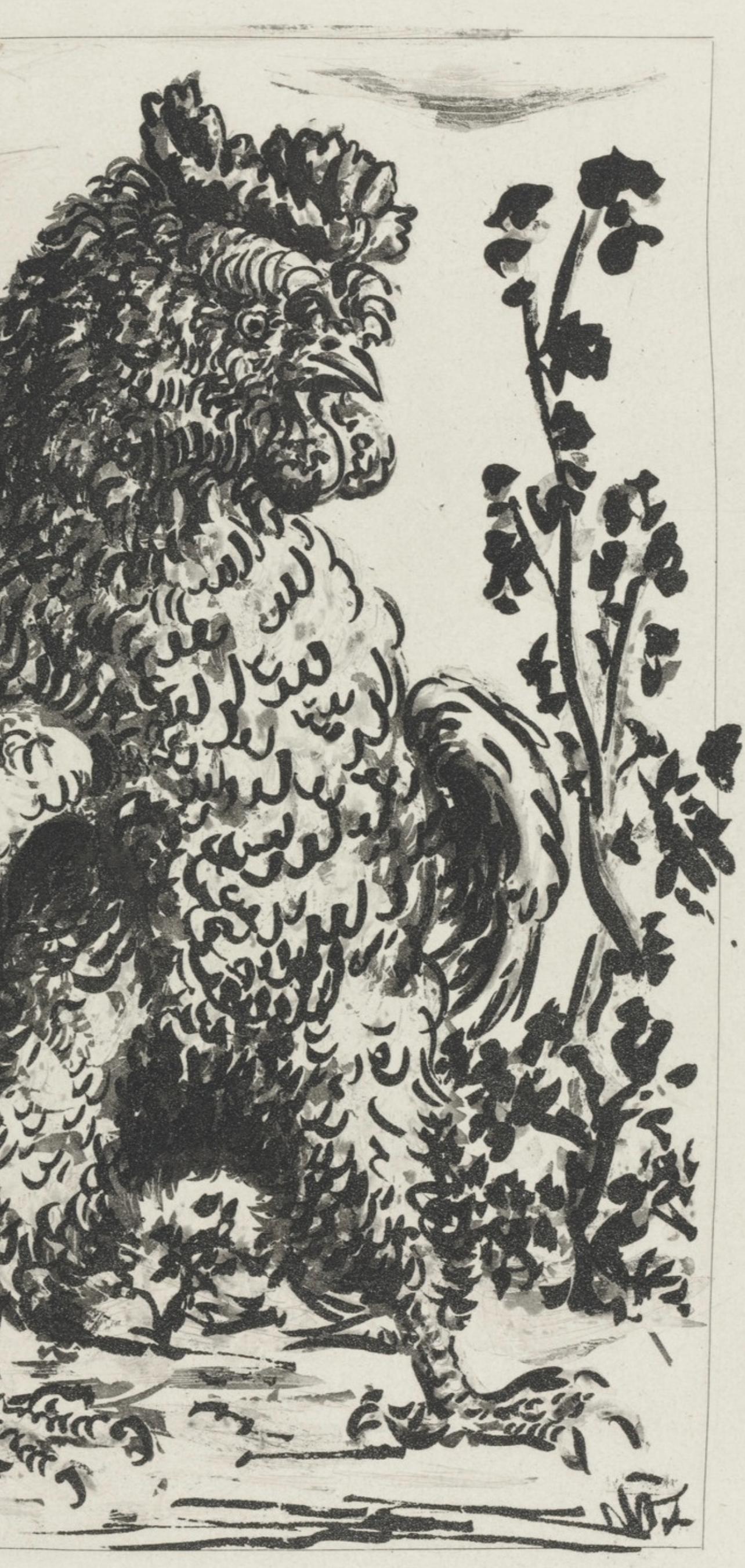 Picasso, Le Coq, Histoire naturelle (d'après) - Print de Pablo Picasso