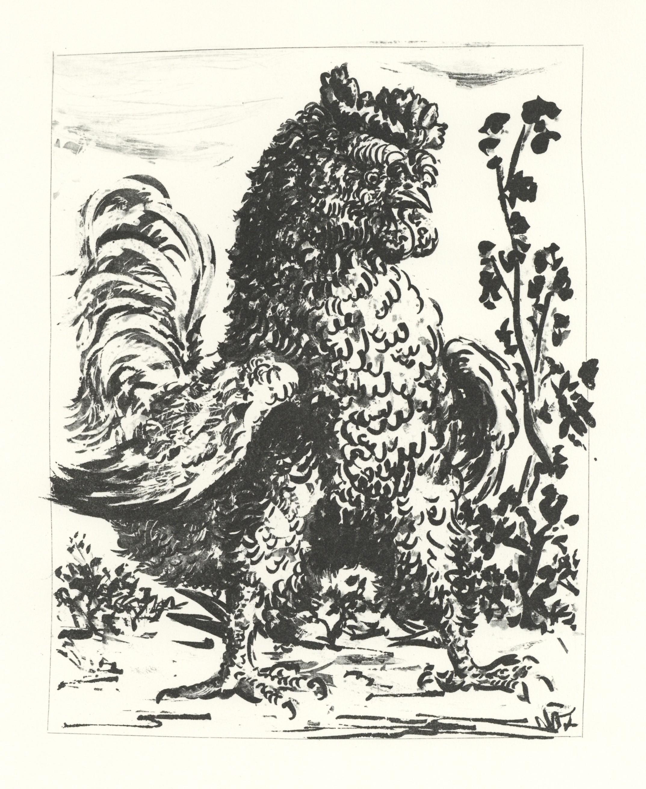 Litografía sobre papel bouffant des Papeteries de Casteljoux. Sin firmar y sin numerar, tal como se publicó. Buen estado. Notas: Del folio, Eaux-fortes originale pour des textes de Buffon (Histoire naturelle), 1970. Publicado por Martin Fabiani,
