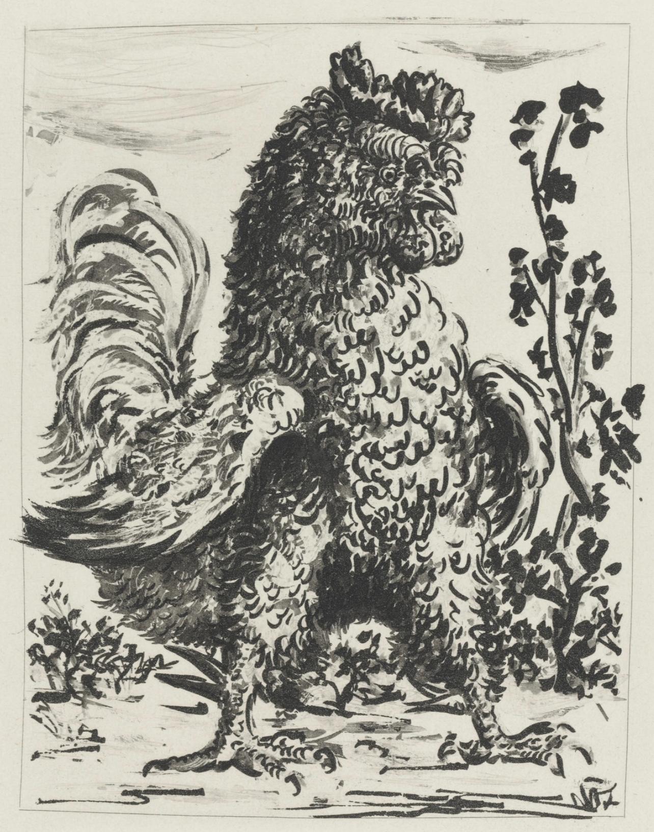 Animal Print Pablo Picasso - Picasso, Le Coq, Histoire naturelle (d'après)