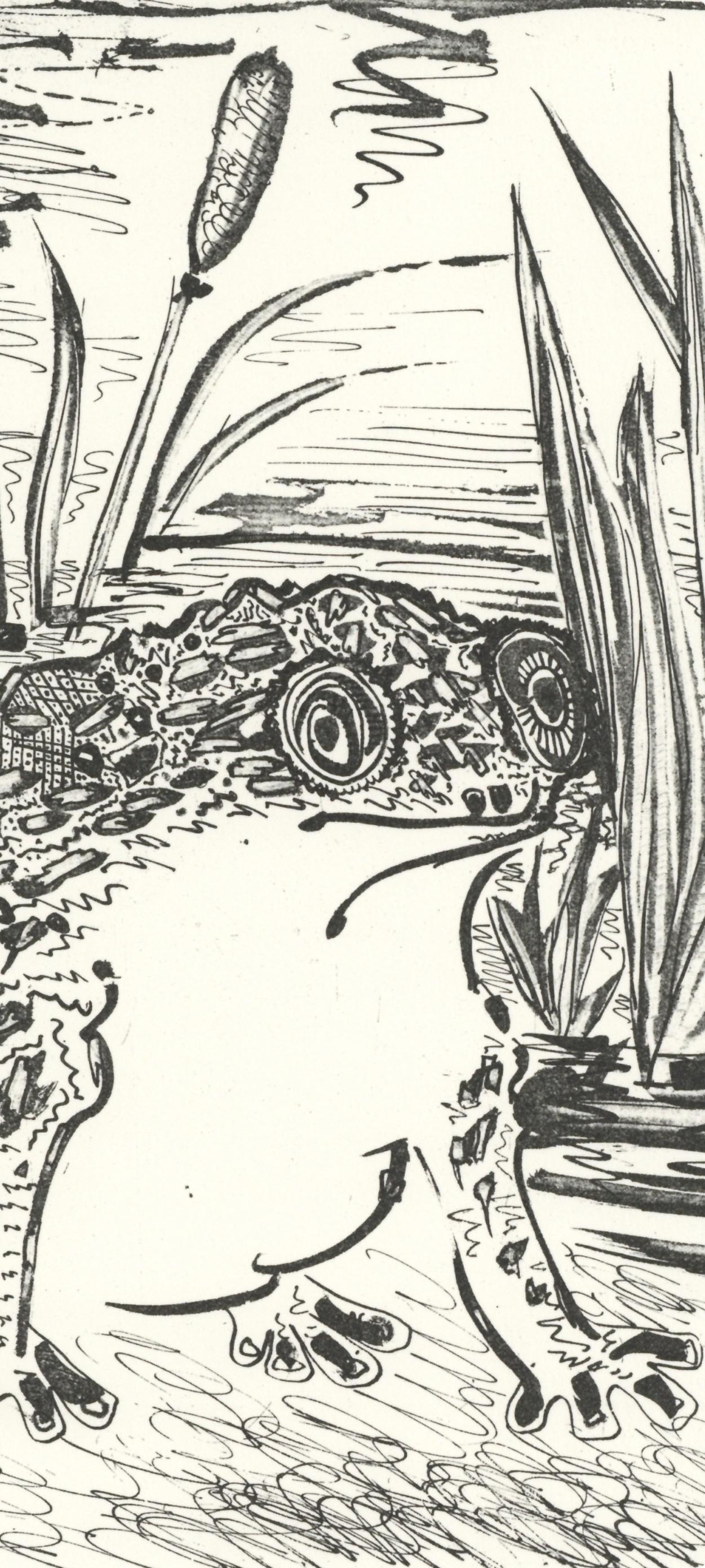 Picasso, Le Crapaud, Histoire naturelle (dopo) - Print di Pablo Picasso