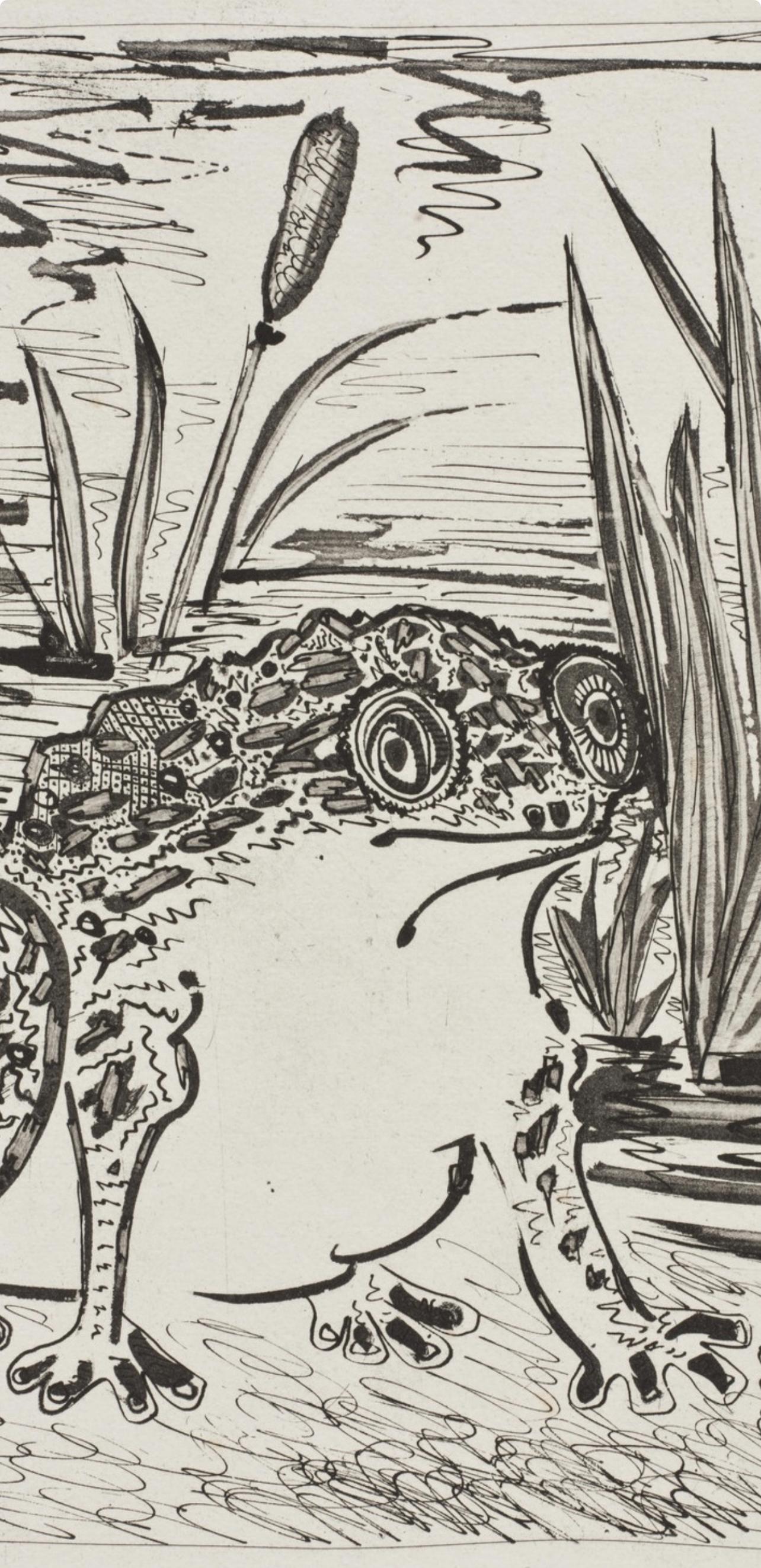 Picasso, Le Crapaud, Histoire naturelle (after) - Modern Print by Pablo Picasso