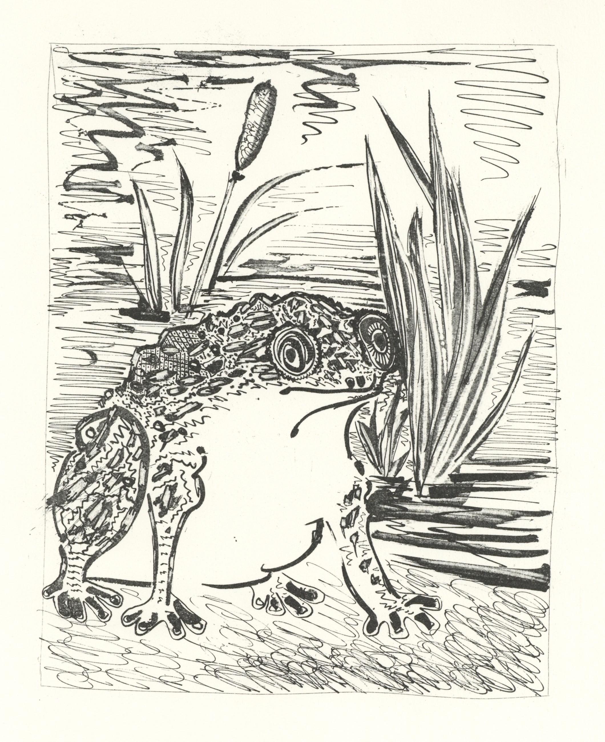 Litografia su carta papier bouffant des Papeteries de Casteljoux. Non firmato e non numerato, come da edizione. Buone condizioni. Note: Dal folio, Eaux-fortes originale pour des textes de Buffon (Histoire naturelle), 1970. Pubblicato da Martin