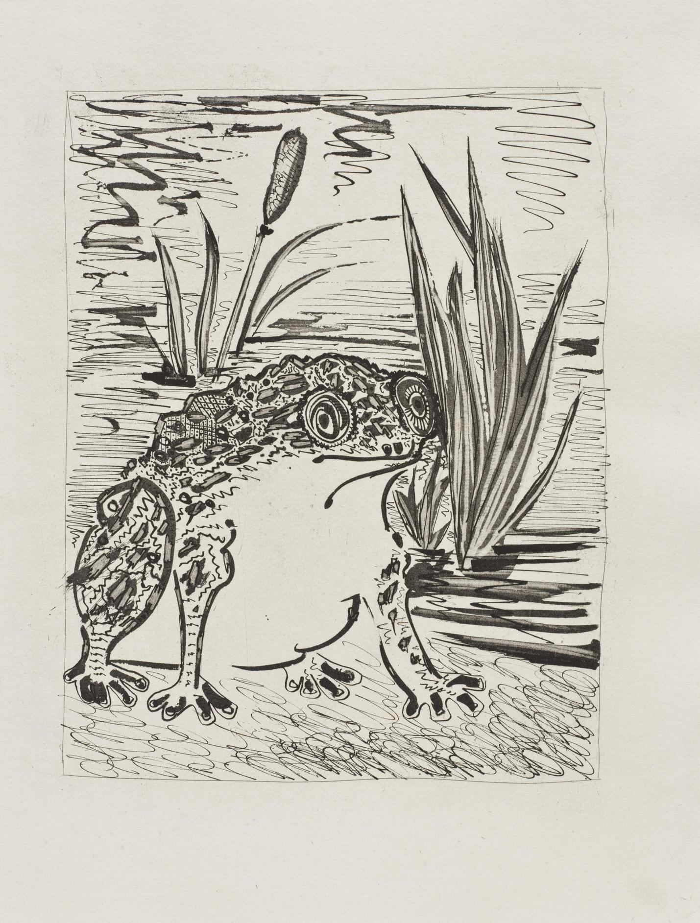 Picasso, Le Crapaud, Histoire naturelle (after) For Sale 2
