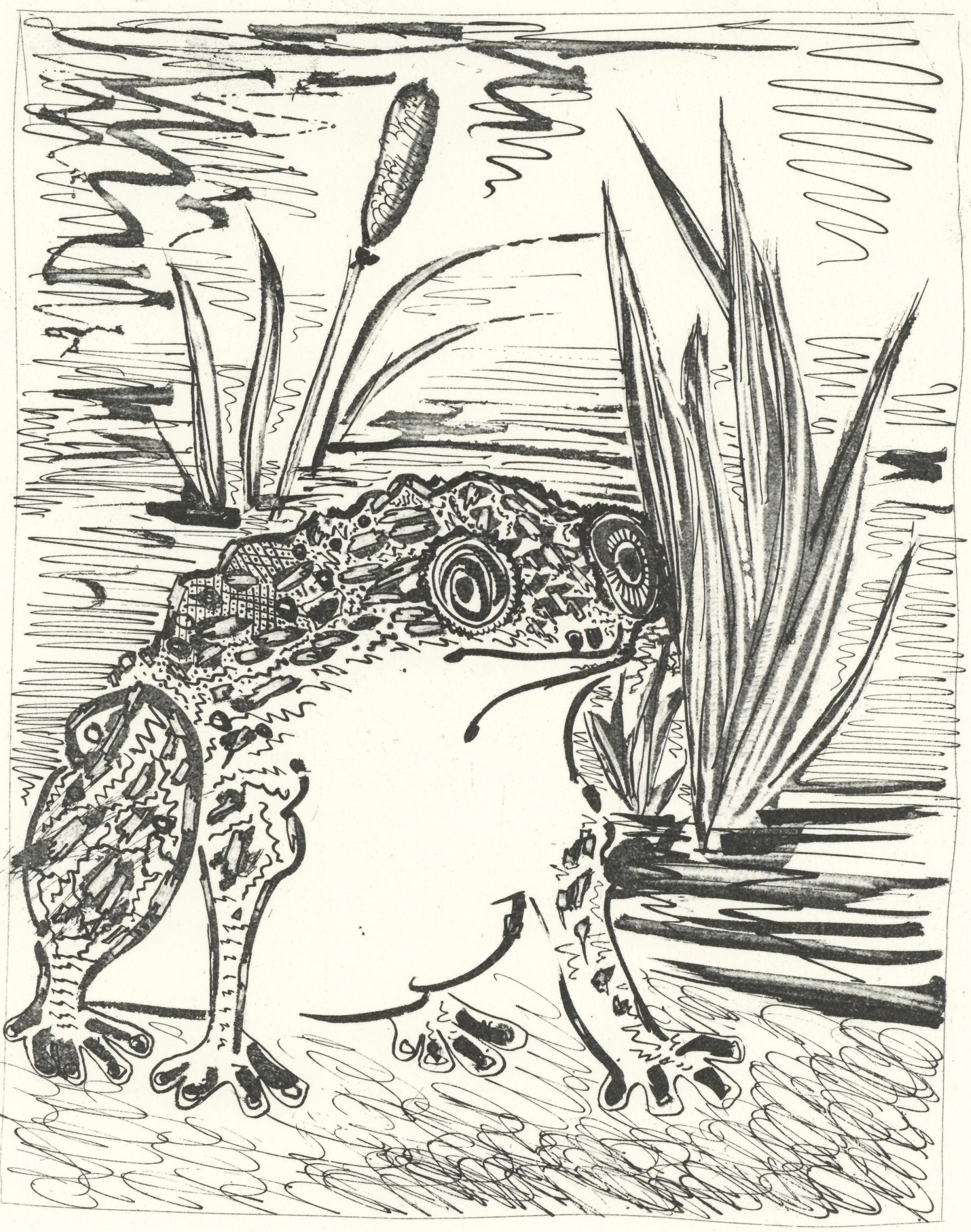 Picasso, Le Crapaud, Histoire naturelle (nach)